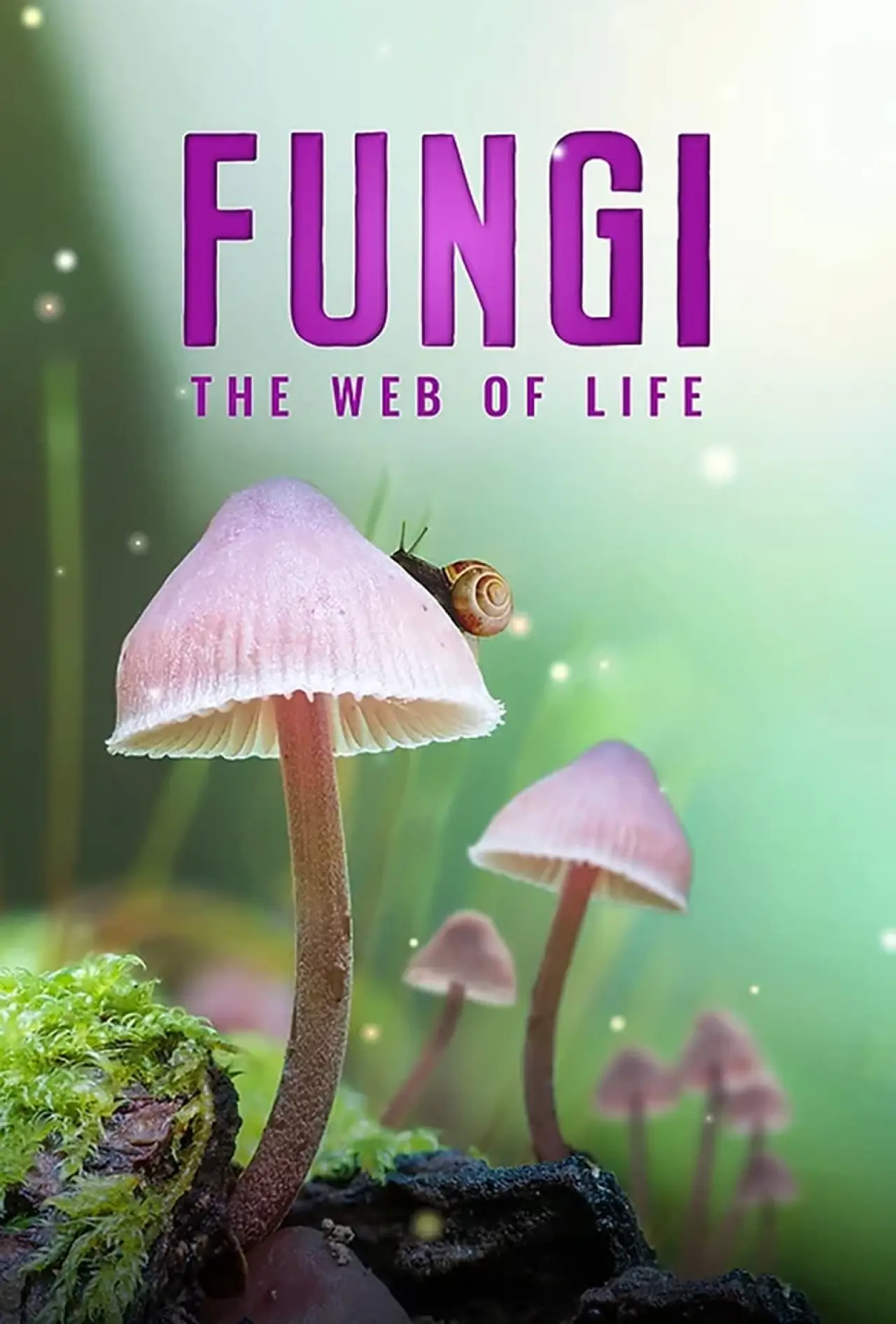 Movie poster "Fungi: The Web of Life"