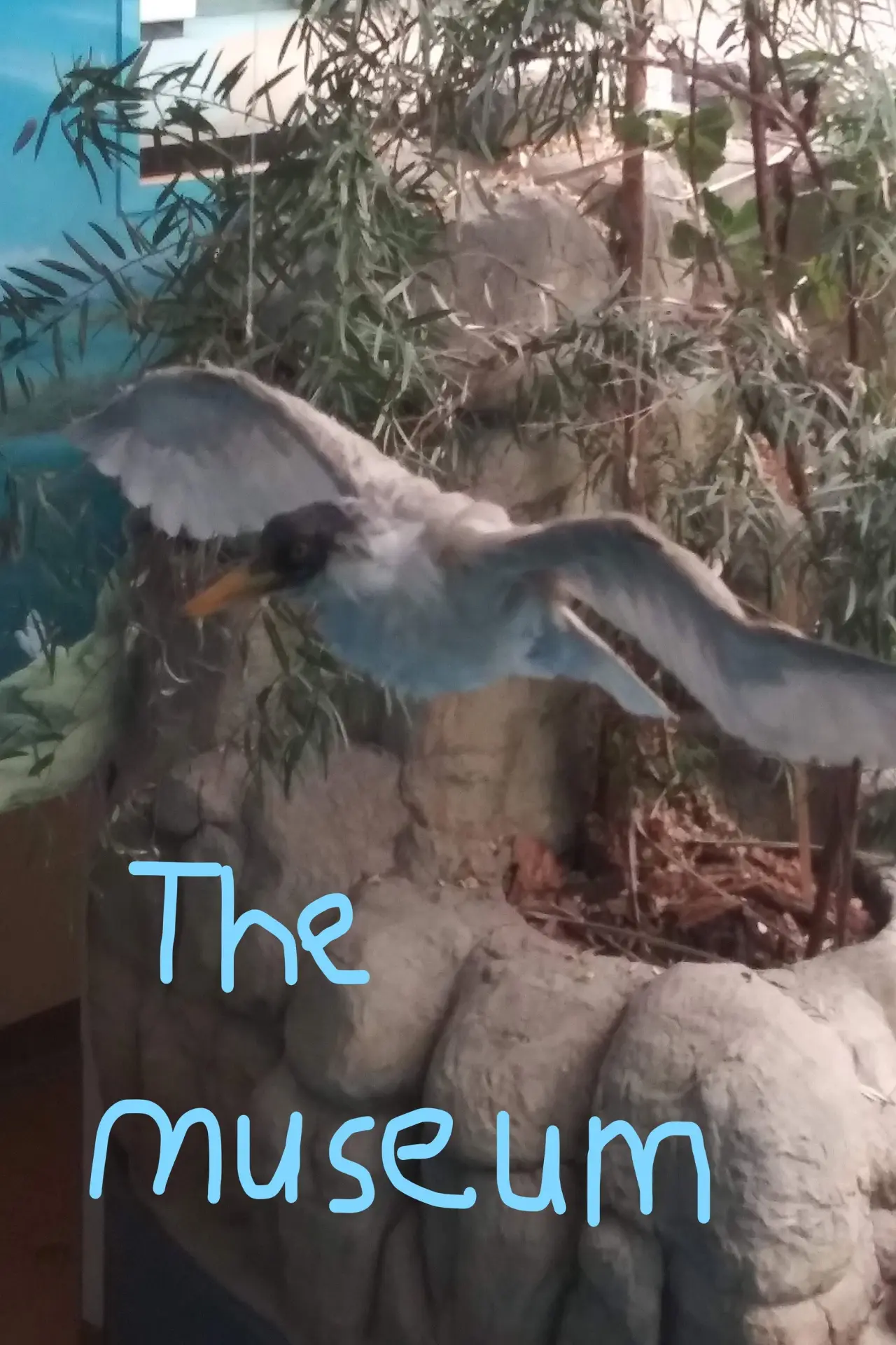 Movie poster "The Museum"
