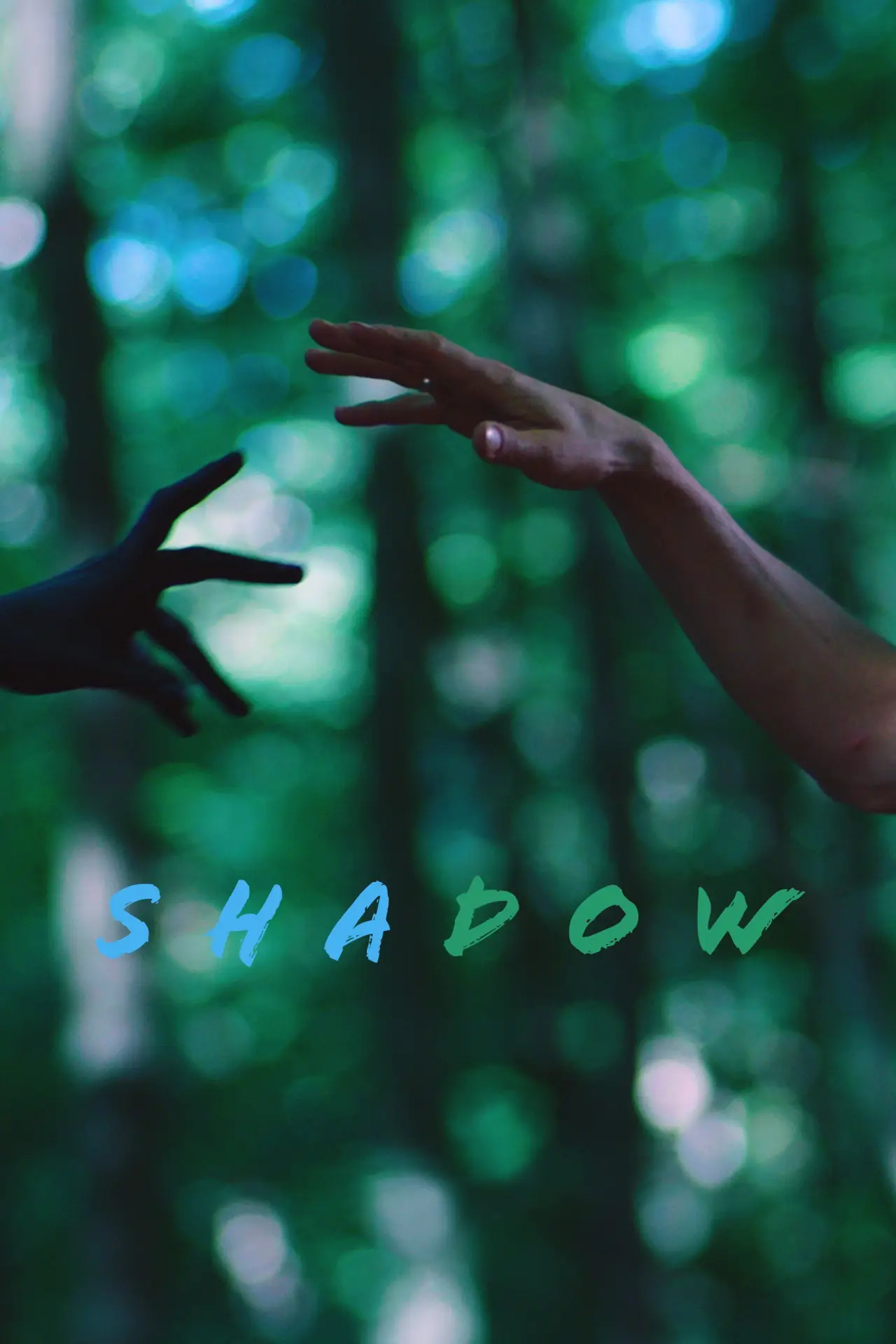 Movie poster "Shadow"