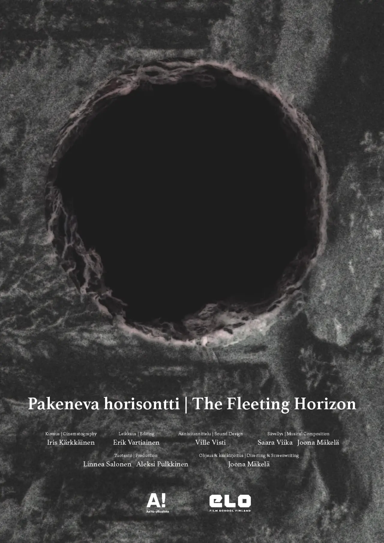 Movie poster "The Fleeting Horizon"