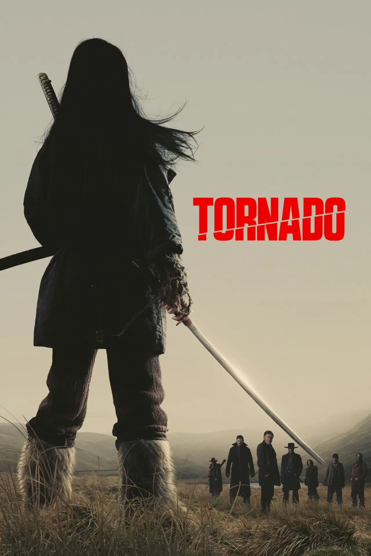 Movie poster "Tornado"