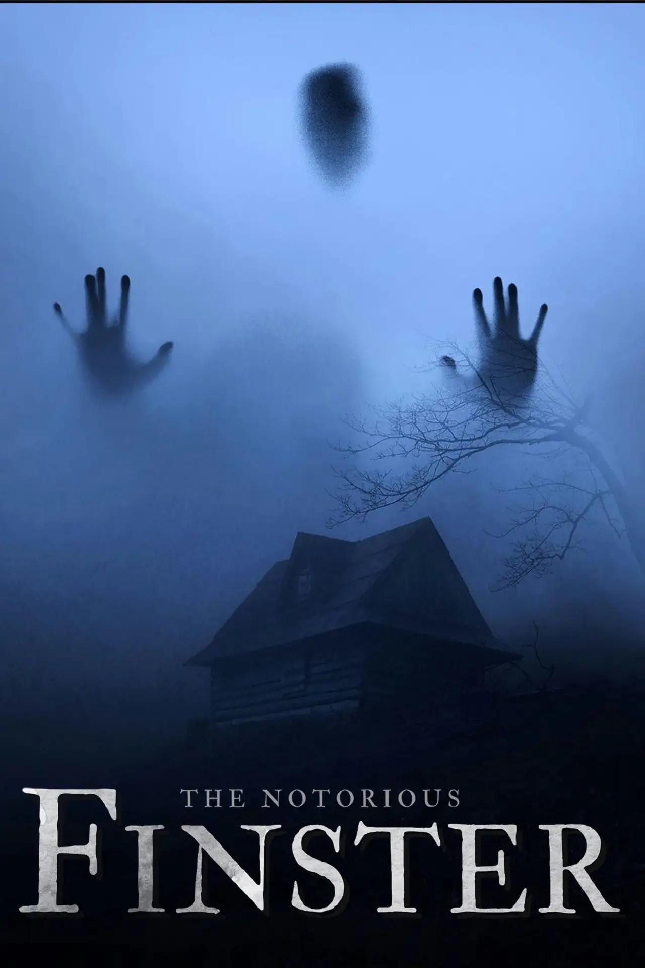 Movie poster "The Notorious Finster"