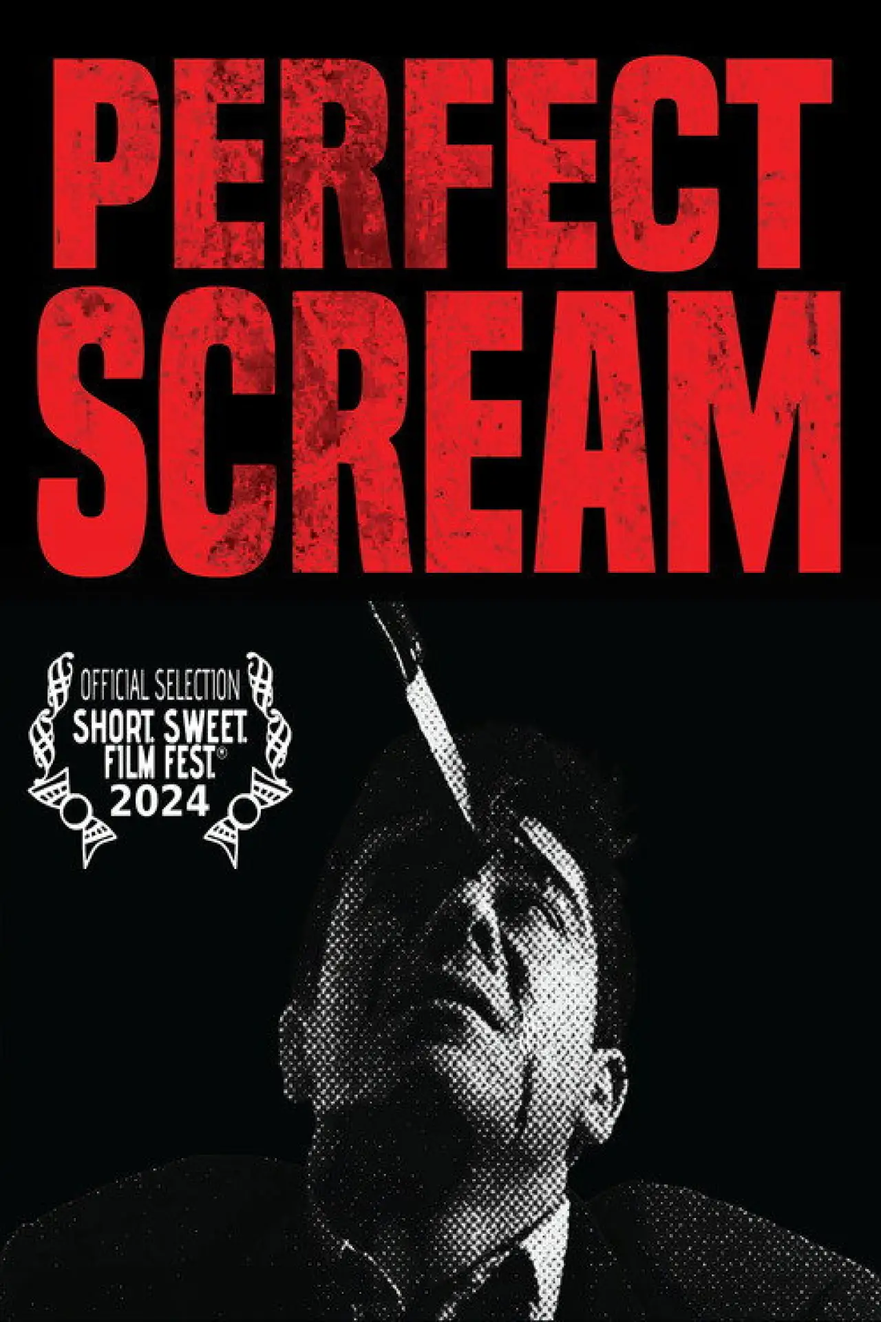 Movie poster "Perfect Scream"