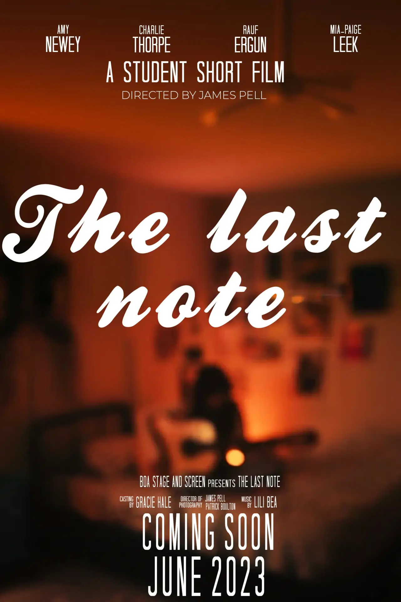 Movie poster "The Last Note"
