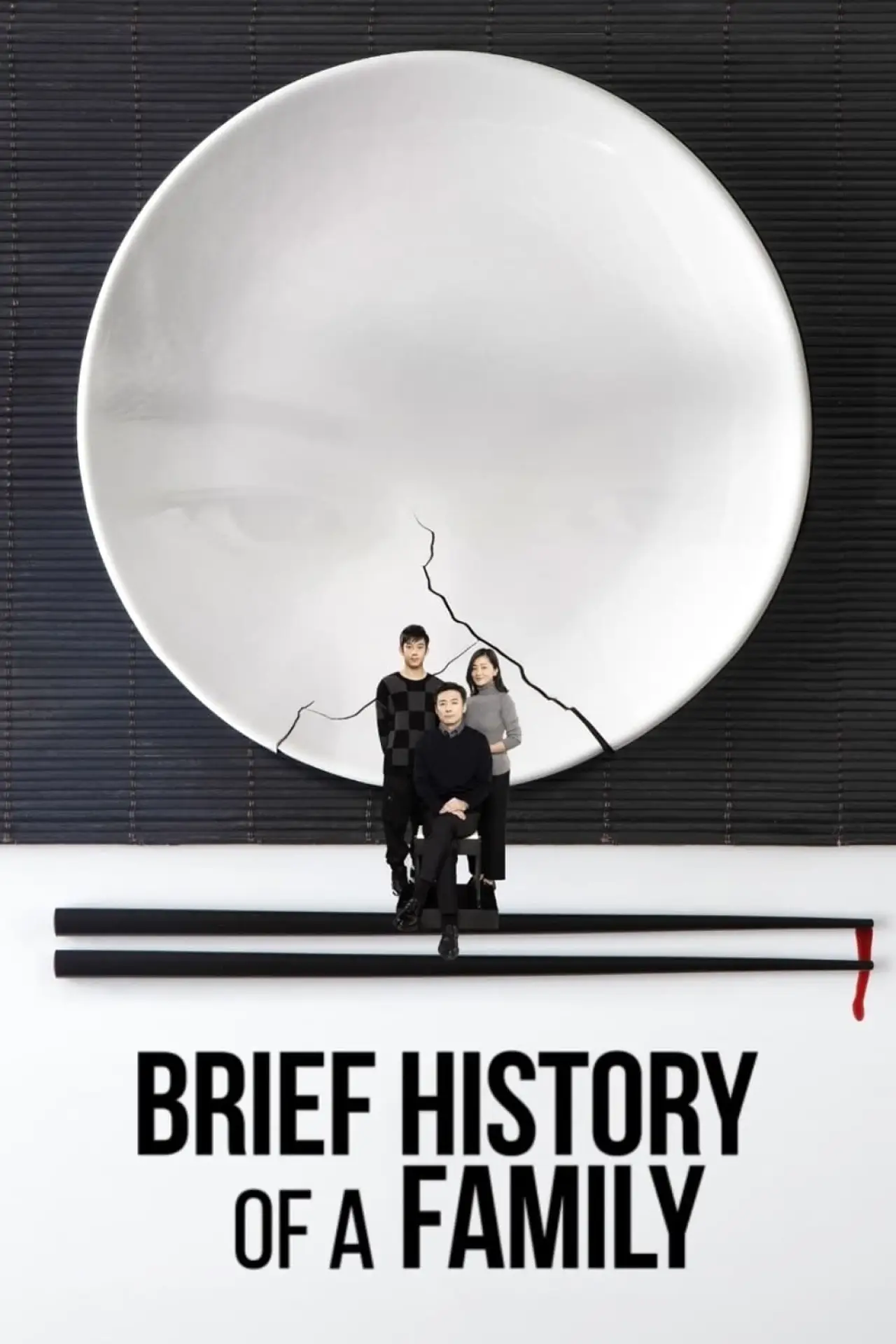 Movie poster "Brief History of a Family"