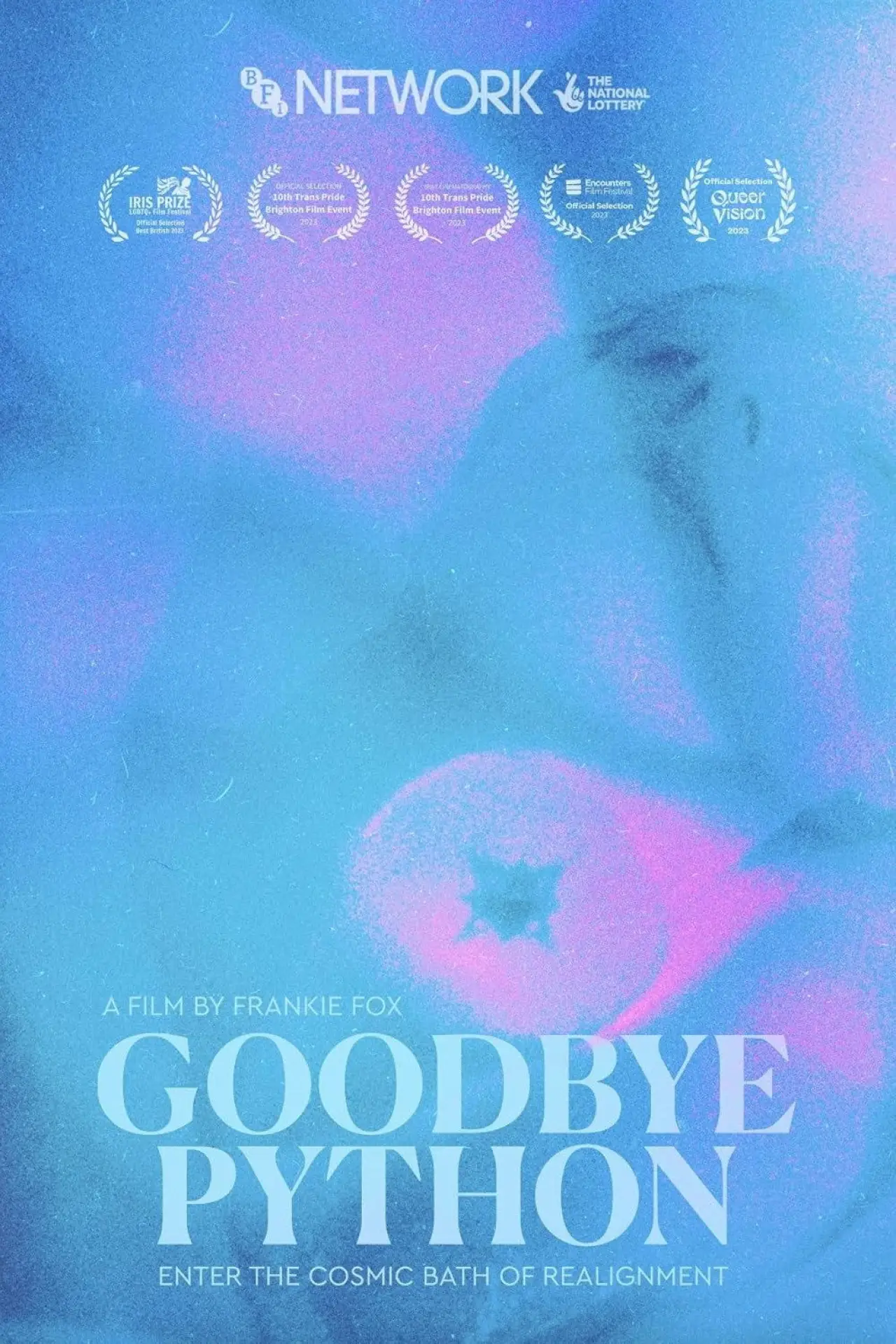 Movie poster "Goodbye Python"