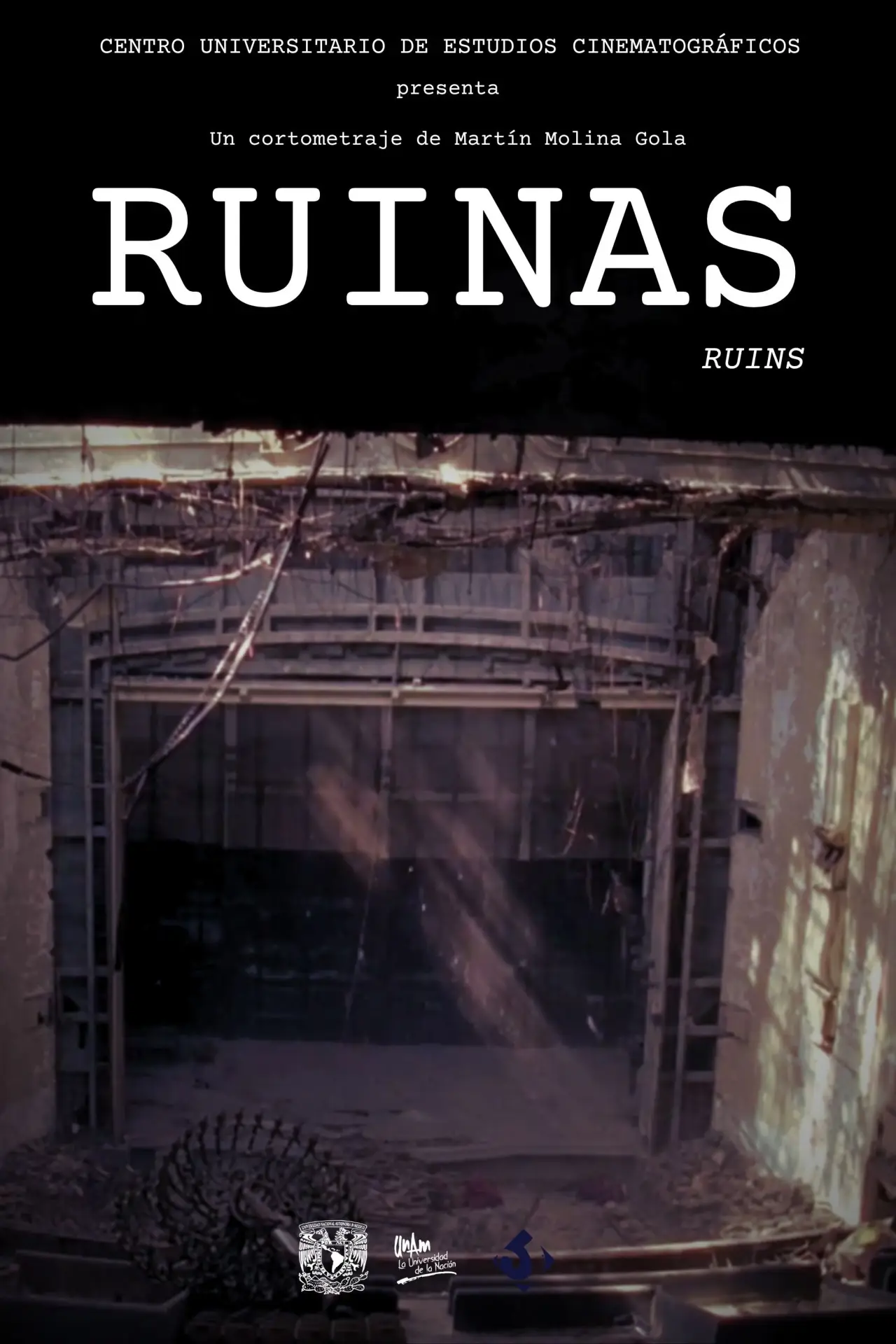 Movie poster "Ruins"