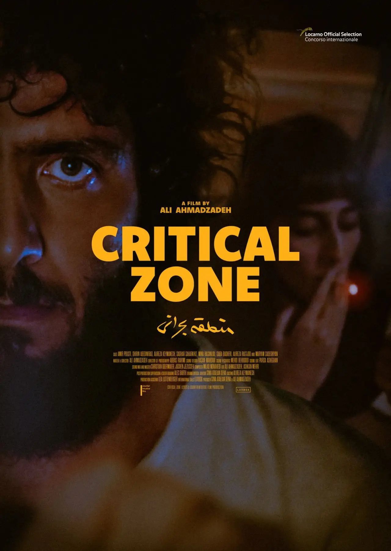 Movie poster "Critical Zone"