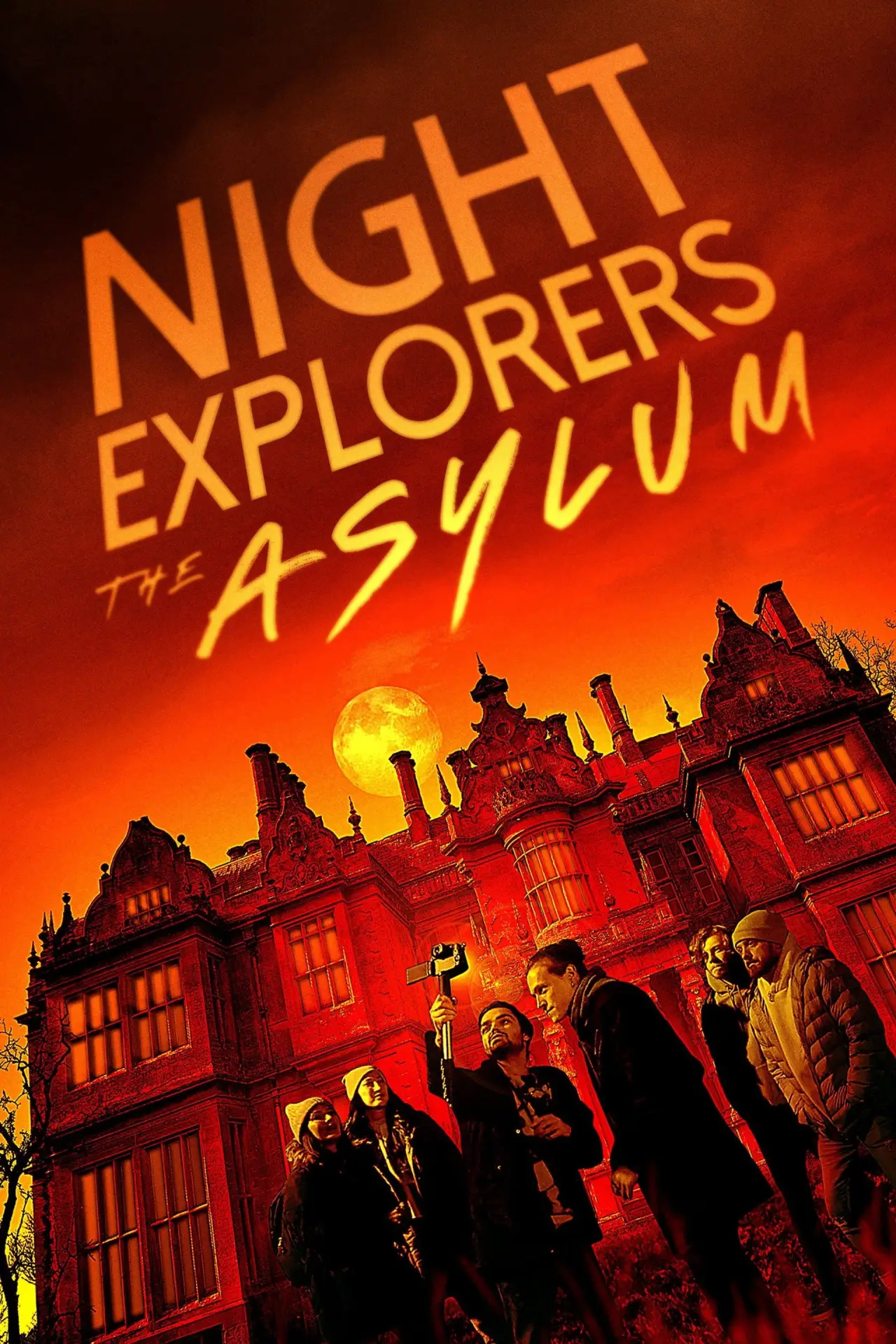 Movie poster "Night Explorers: The Asylum"
