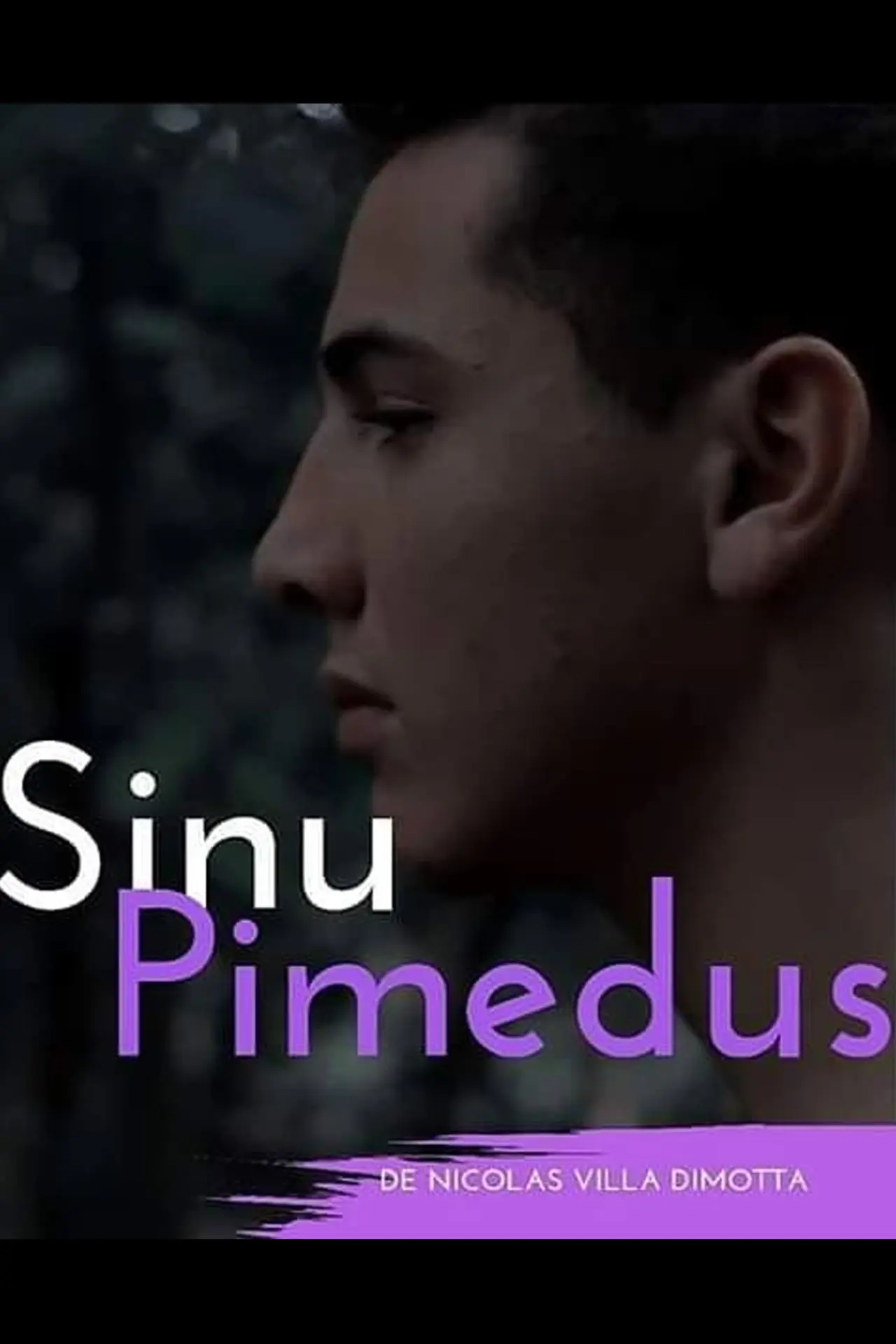 Movie poster "Sinu Pimedus"
