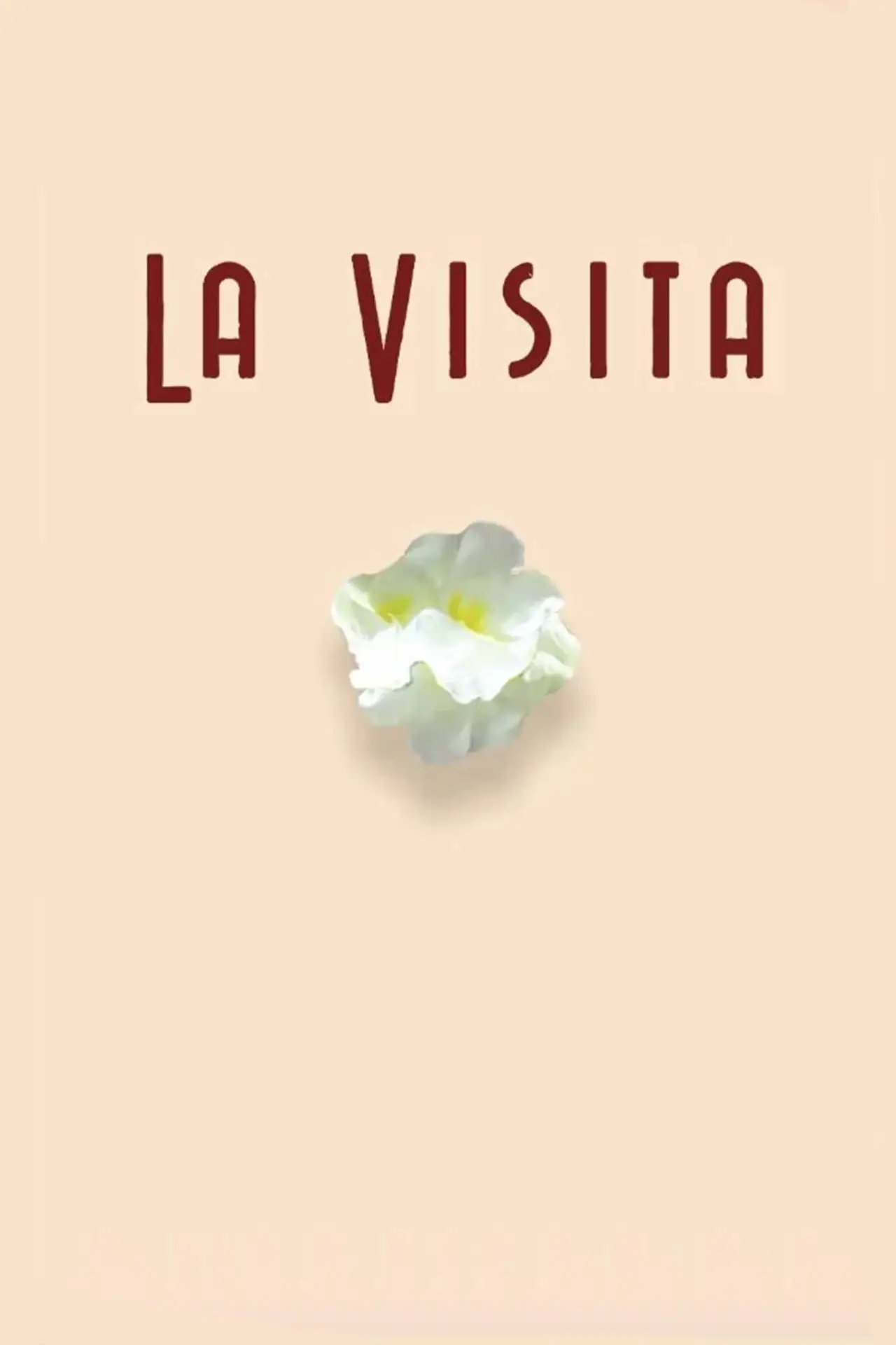Movie poster "La visita"