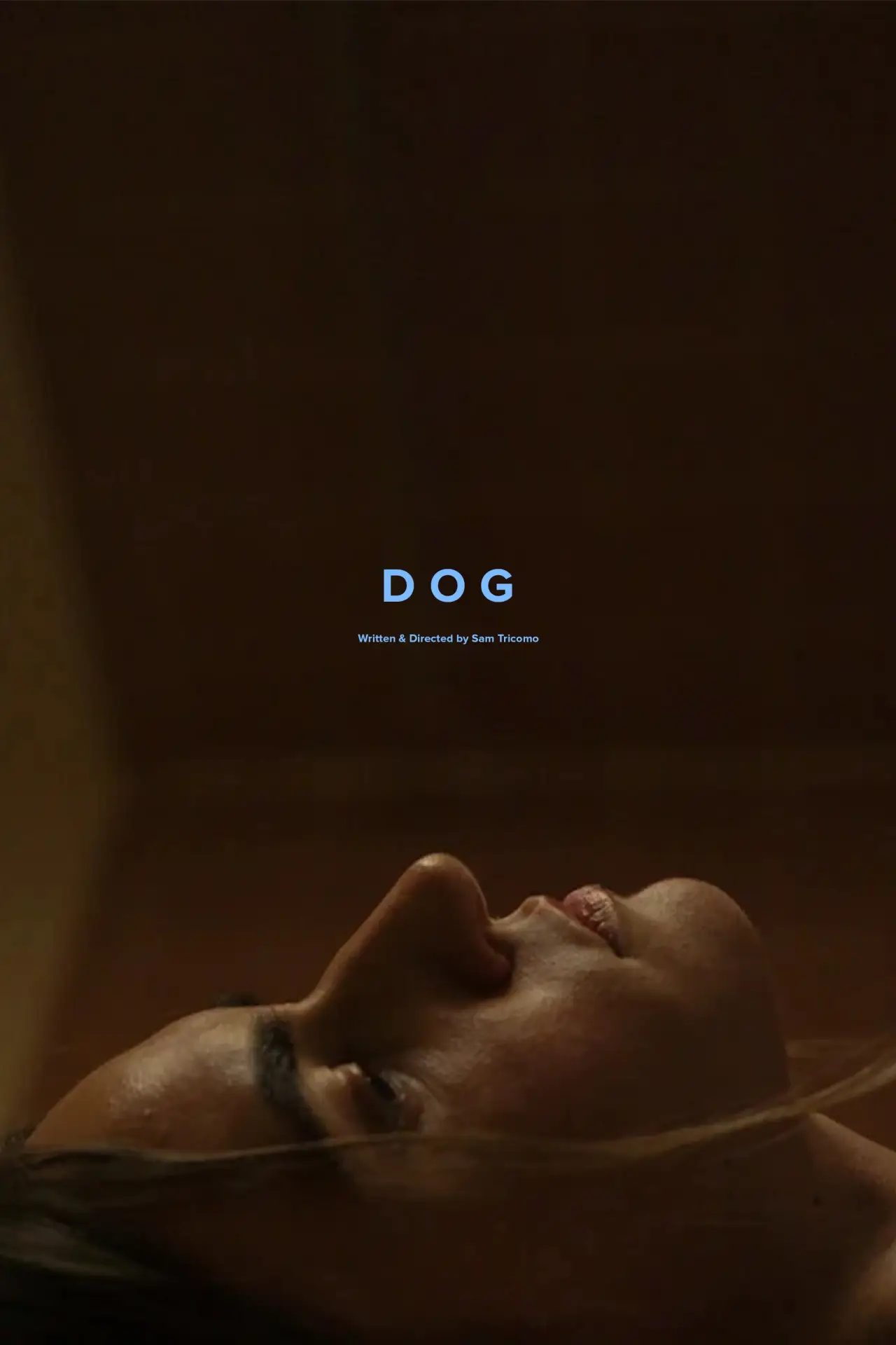 Movie poster "Dog"