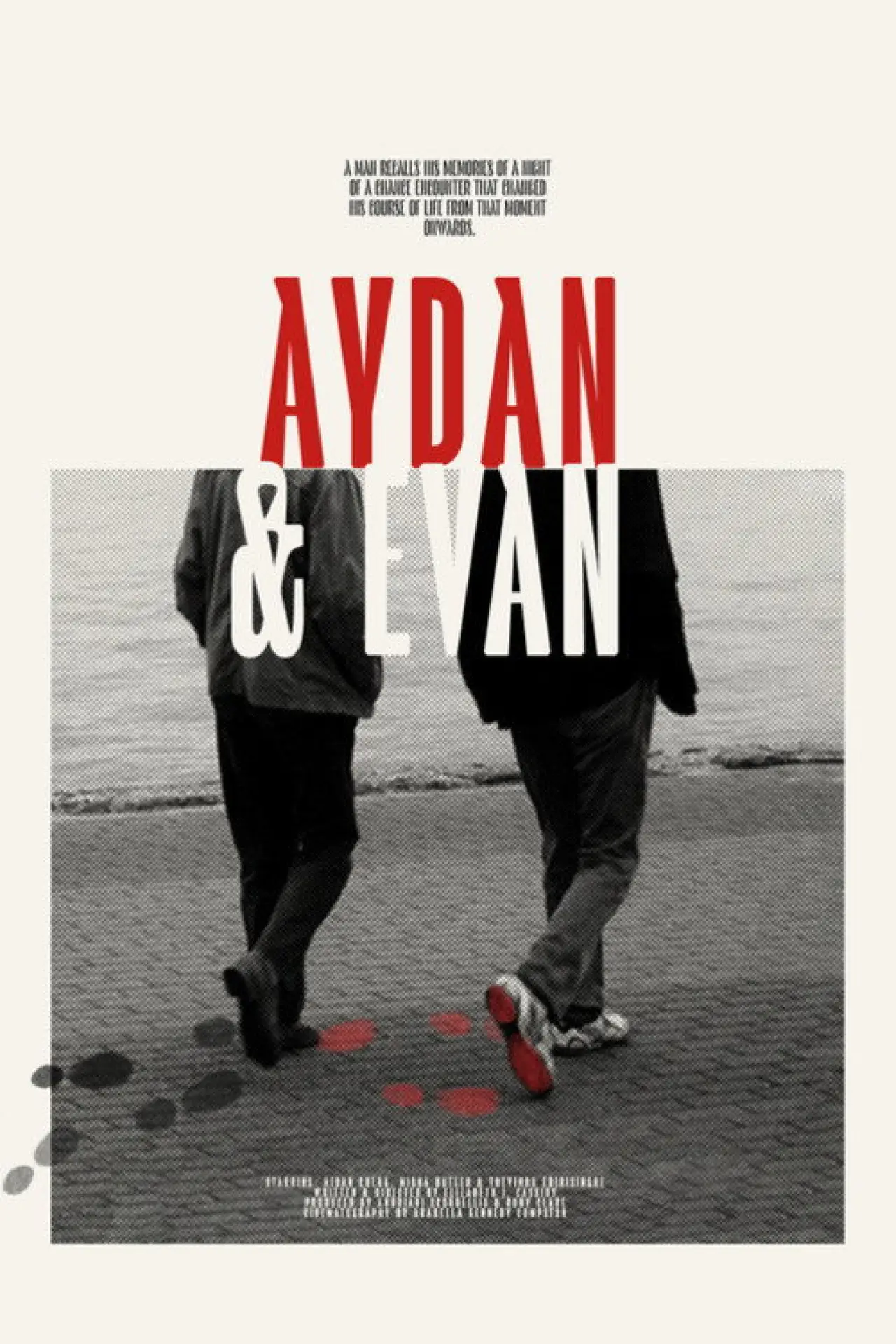 Movie poster "Aydan & Evan"