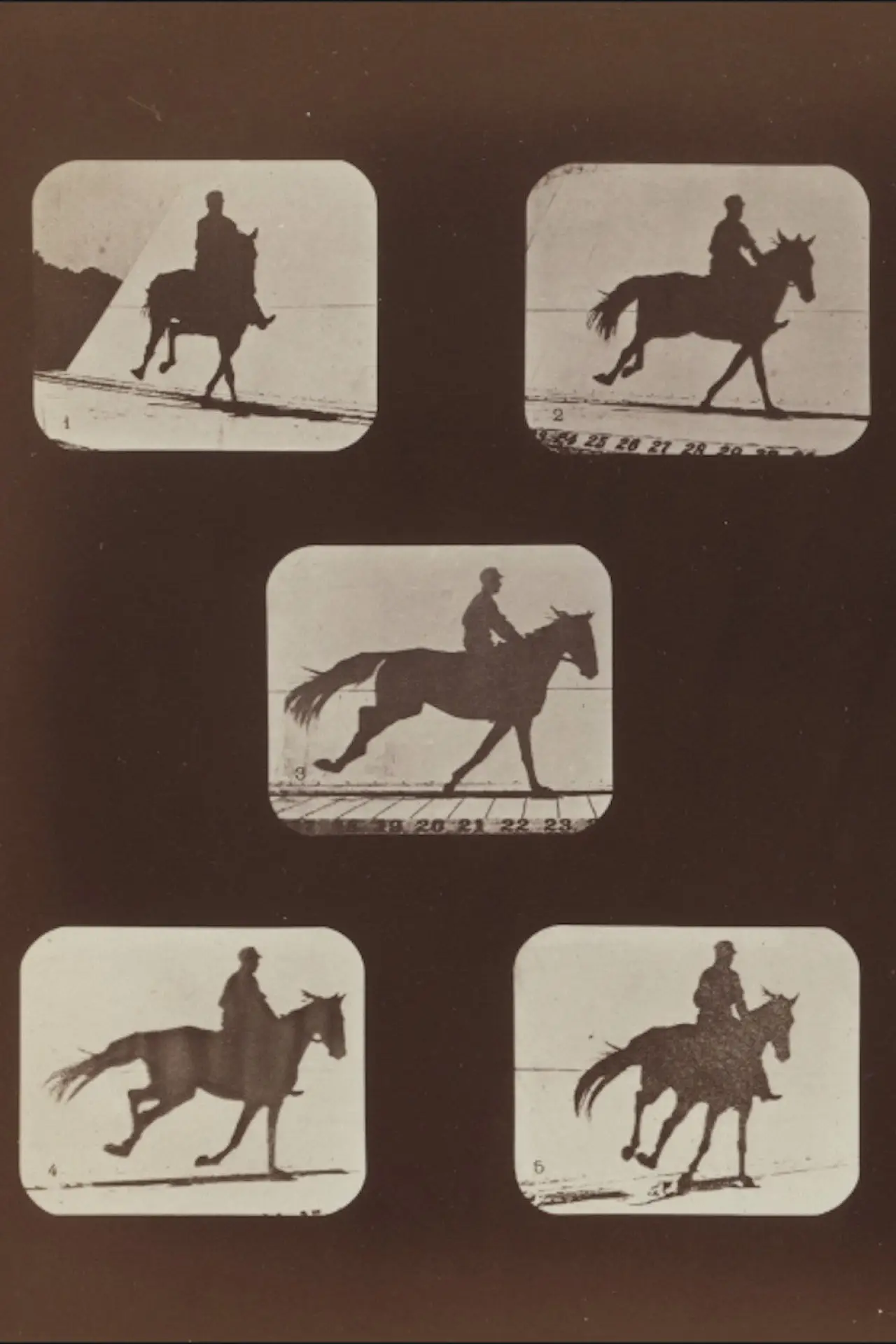 Movie poster "The Horse in Action"