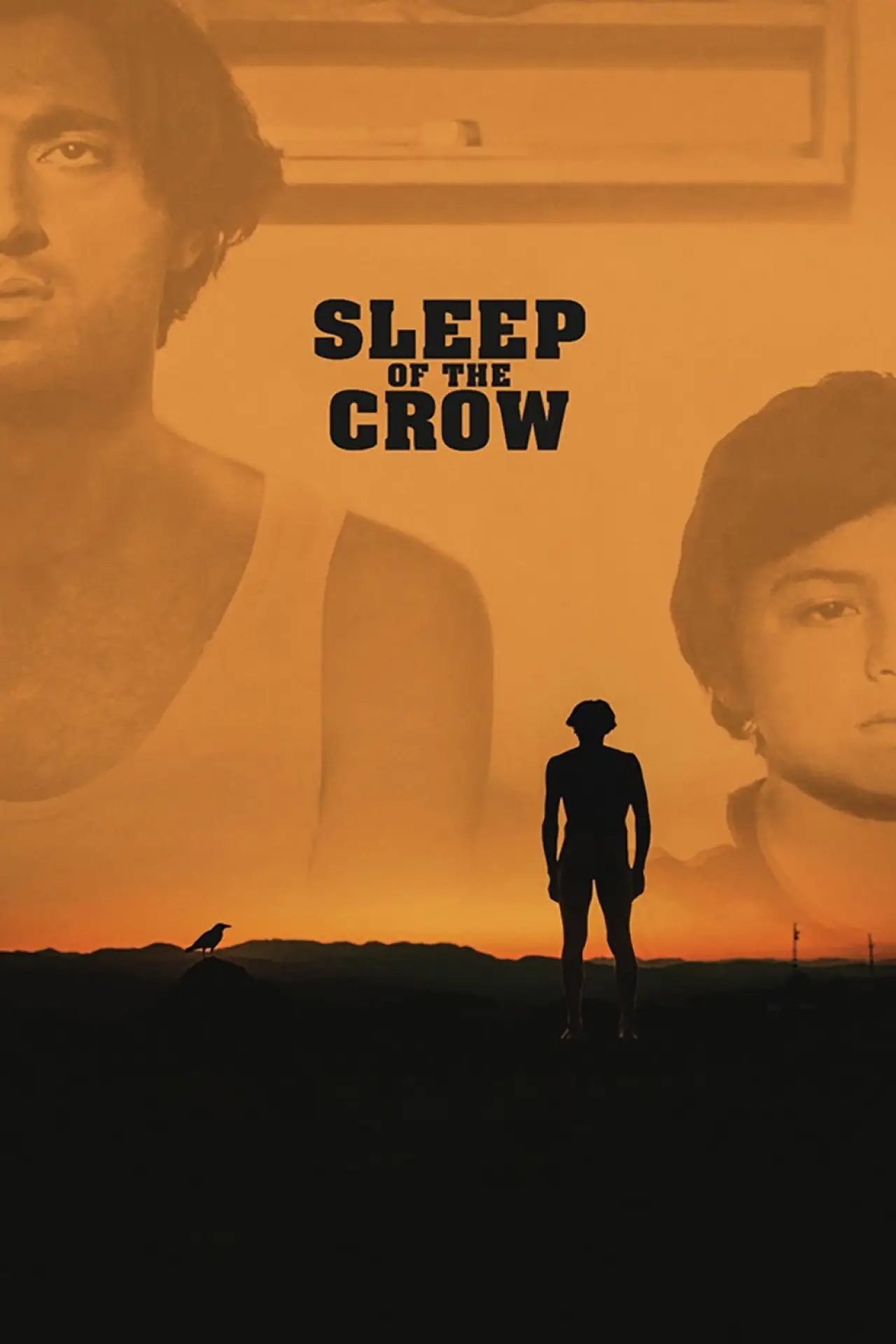 Movie poster "Sleep of the Crow"