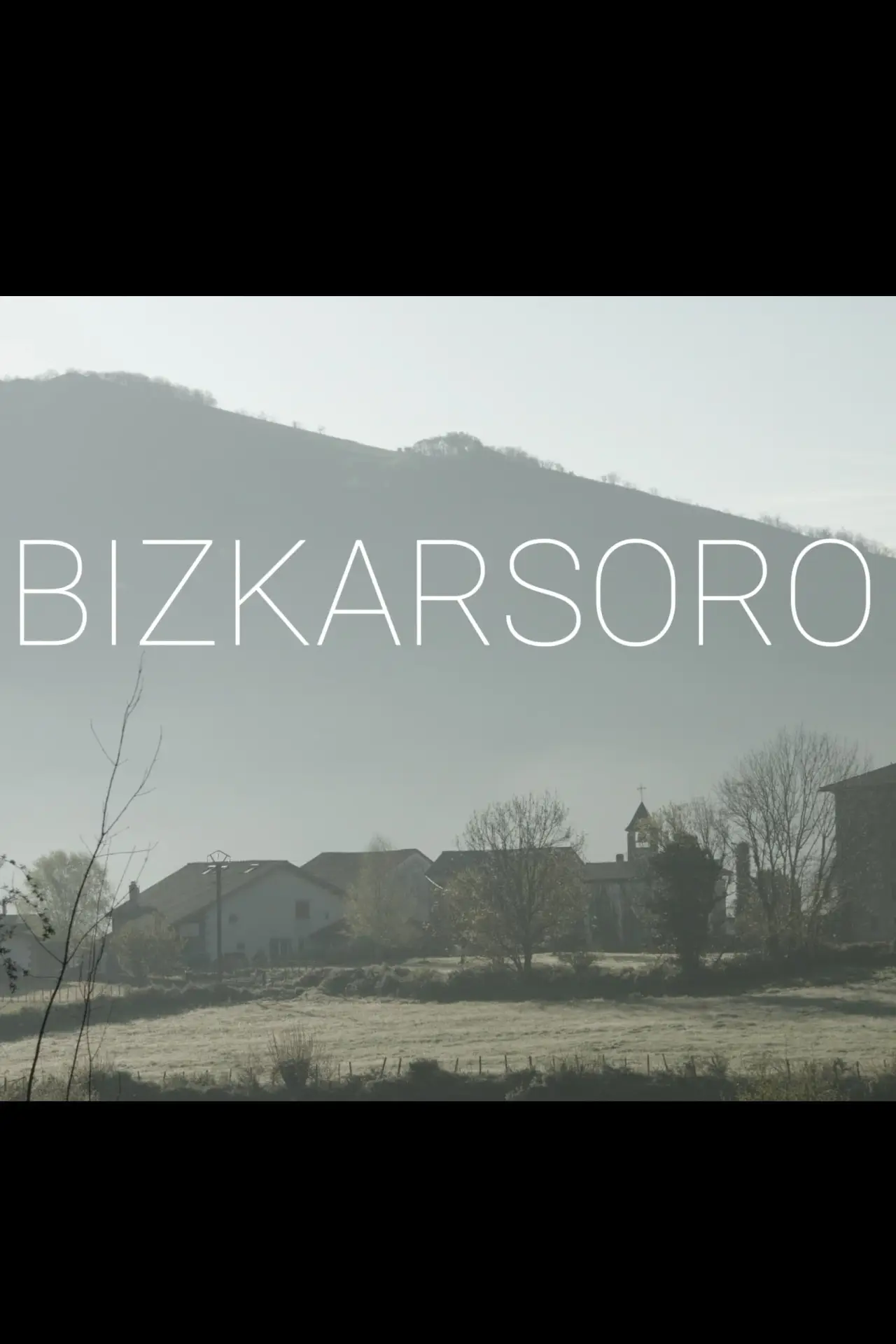 Movie poster "Bizkarsoro"