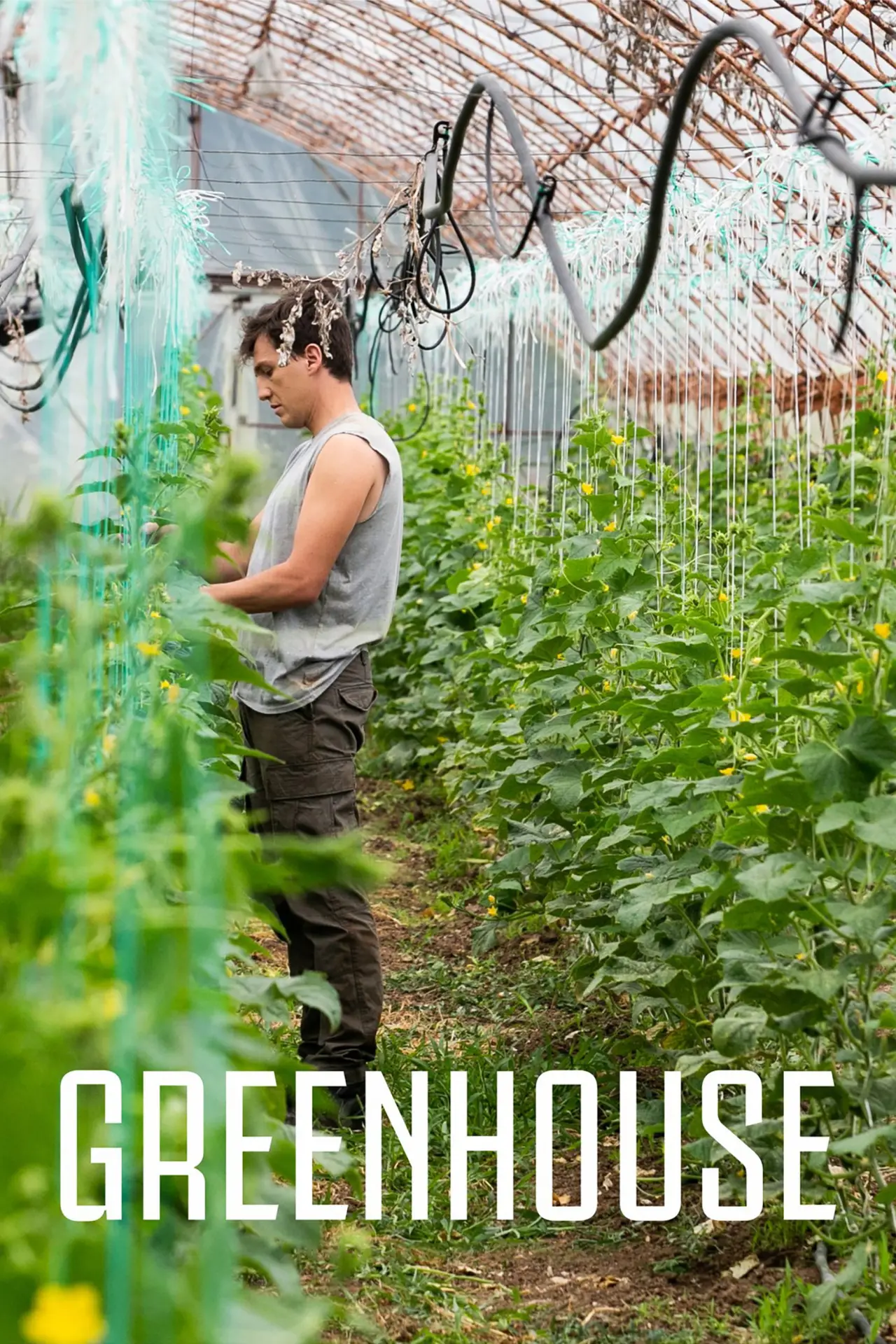 Movie poster "Greenhouse"