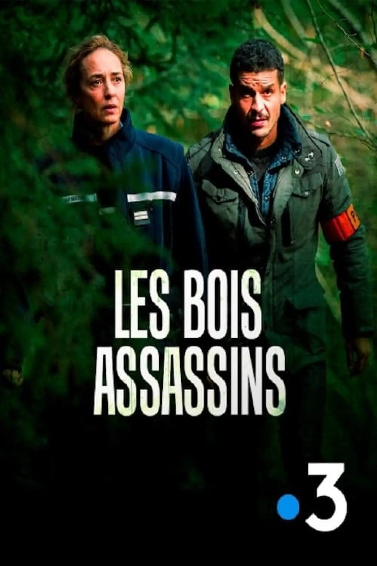 Movie poster "Les Bois assassins"
