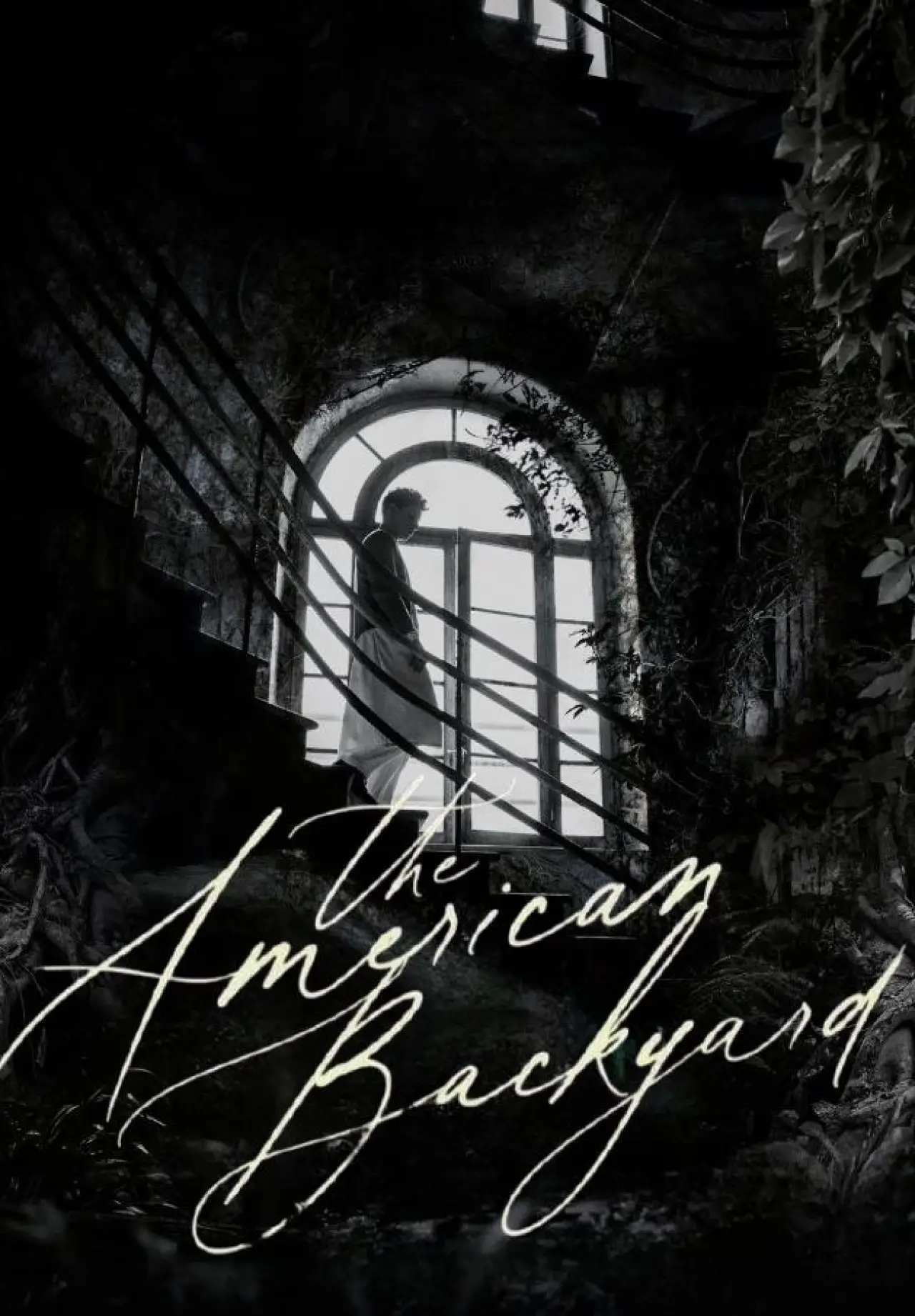 Movie poster "The American Backyard"