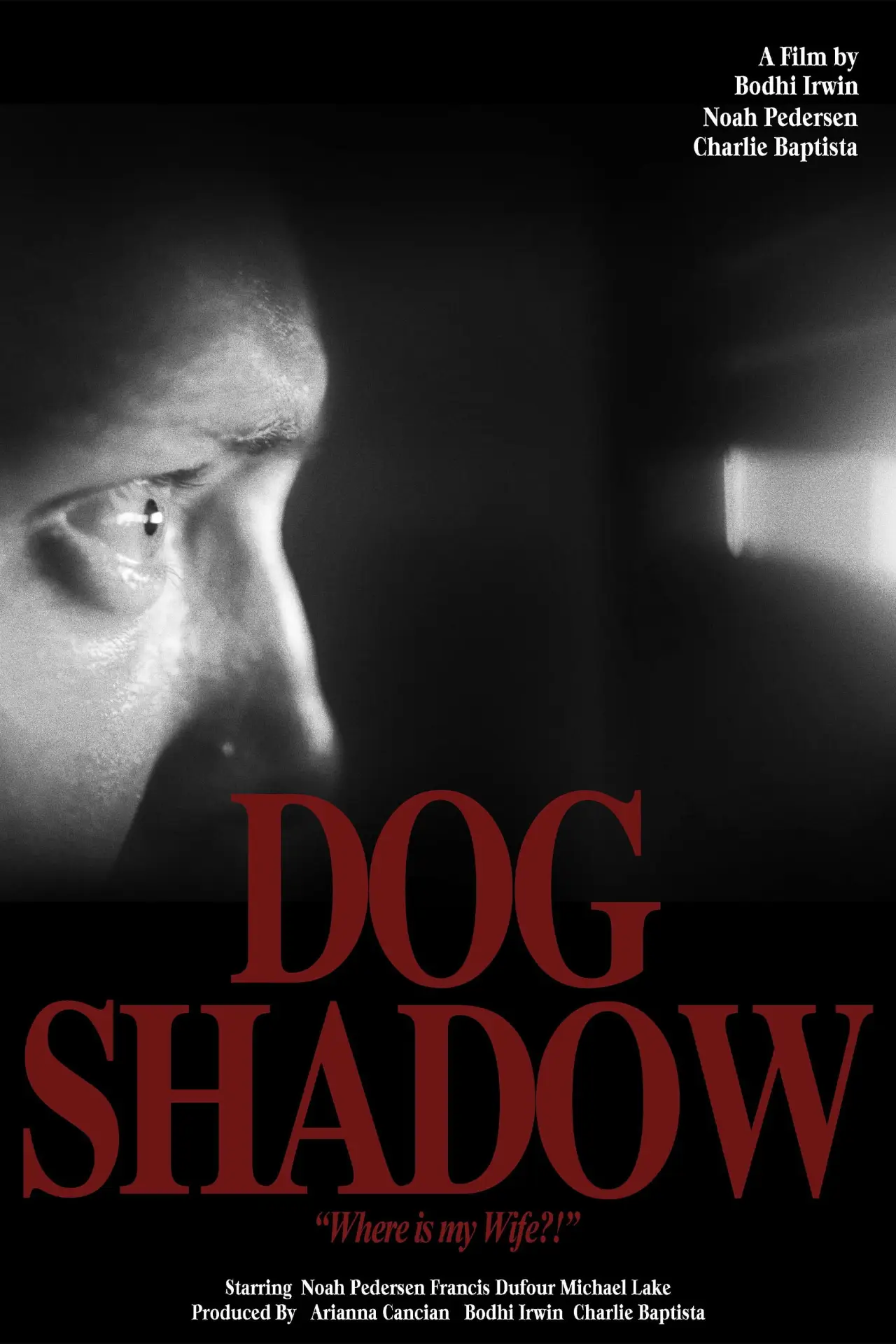 Movie poster "Dog Shadow"