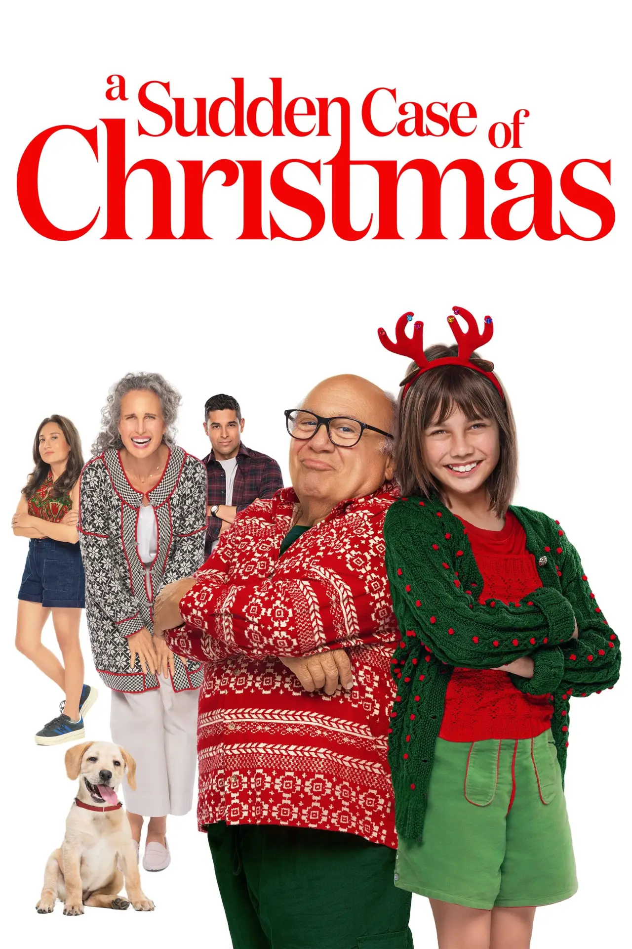 Movie poster "A Sudden Case of Christmas"