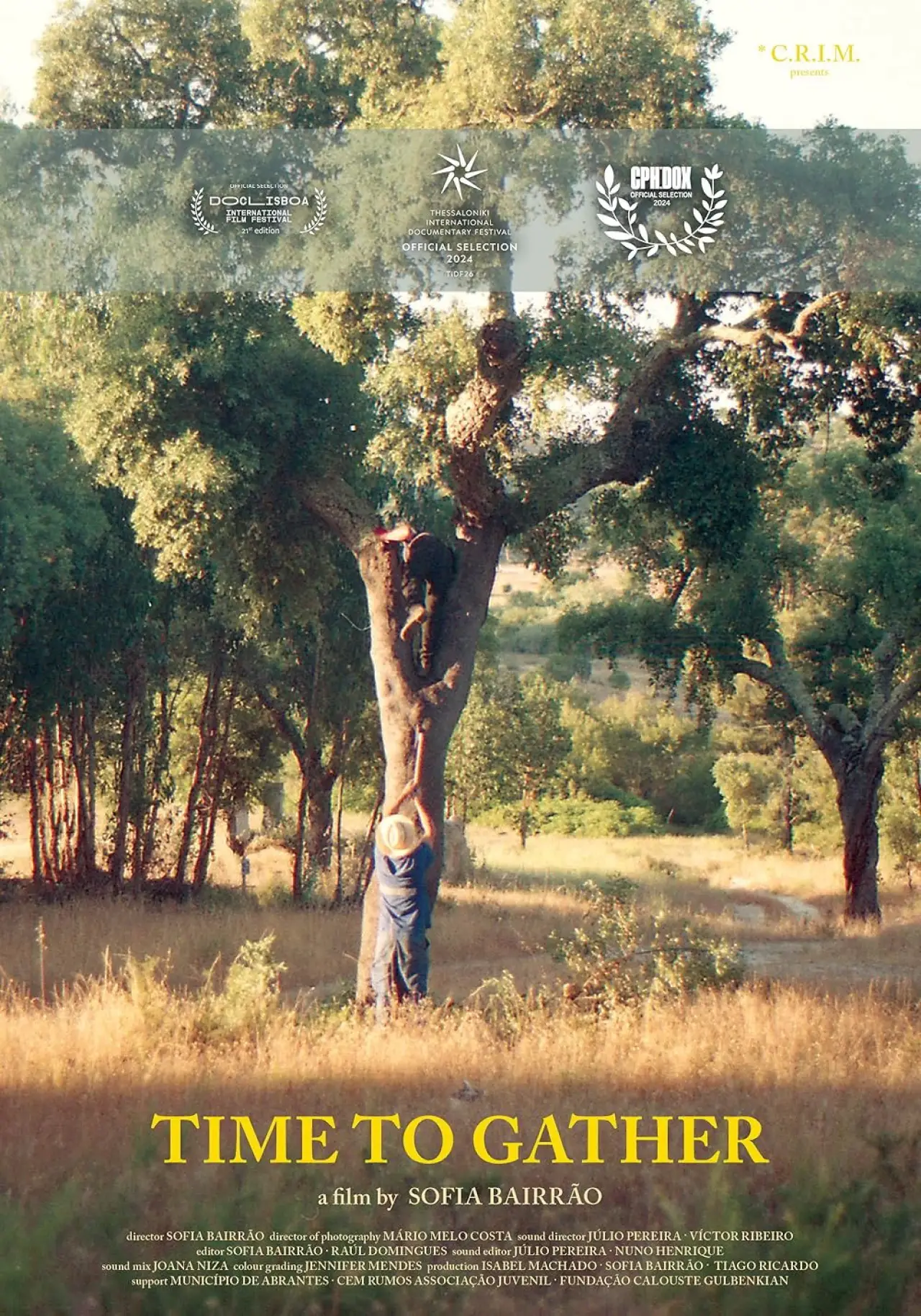 Movie poster "Time to Gather"
