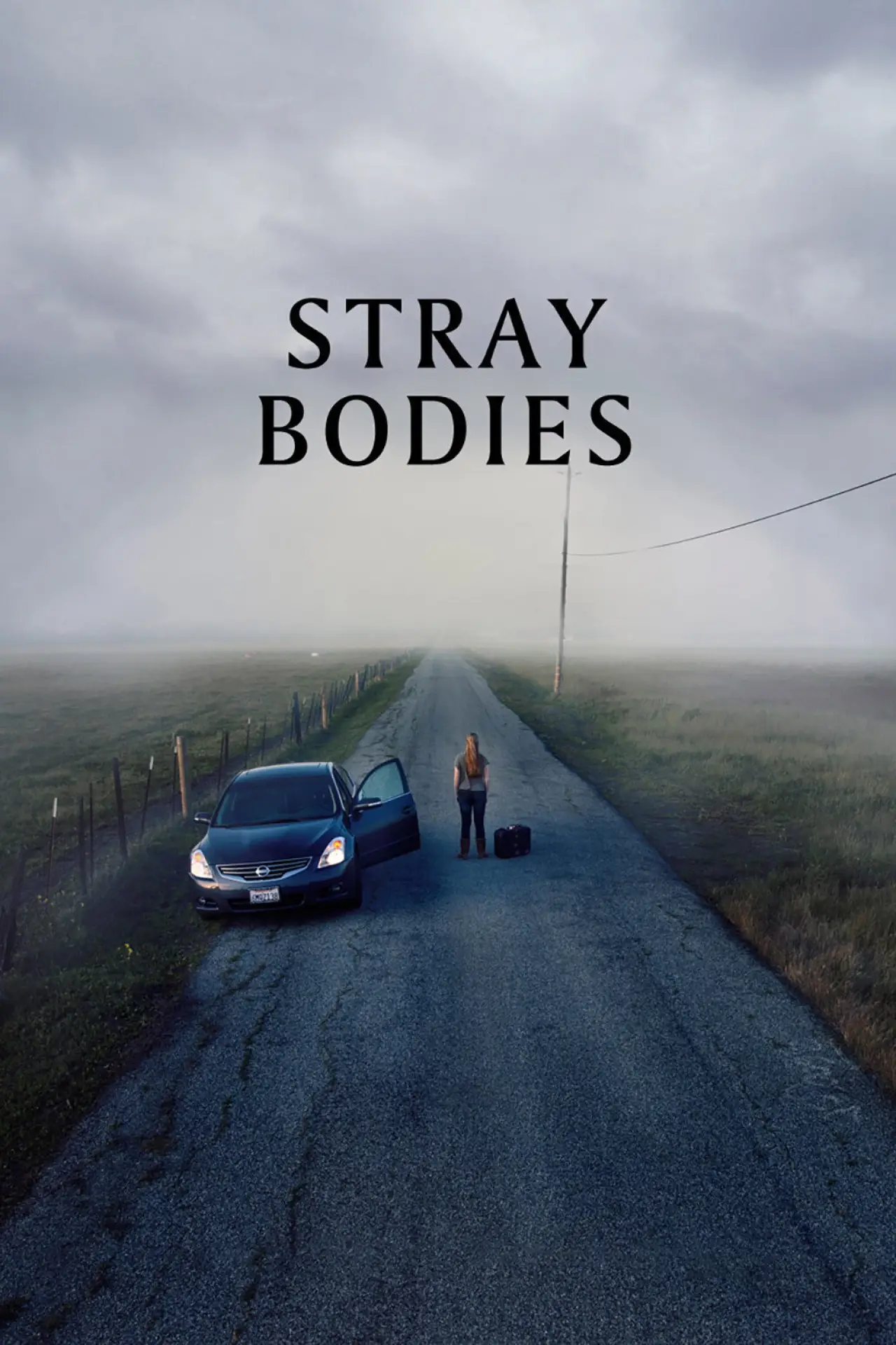 Movie poster "Stray Bodies"