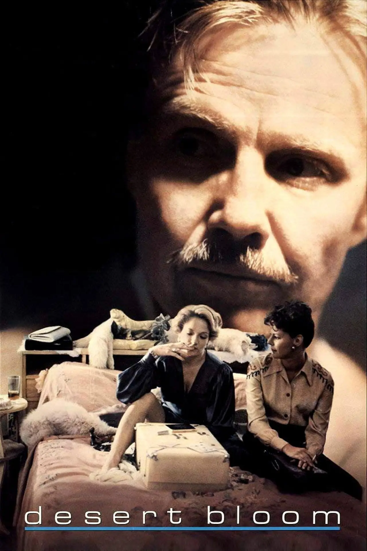 Movie poster "Desert Bloom"