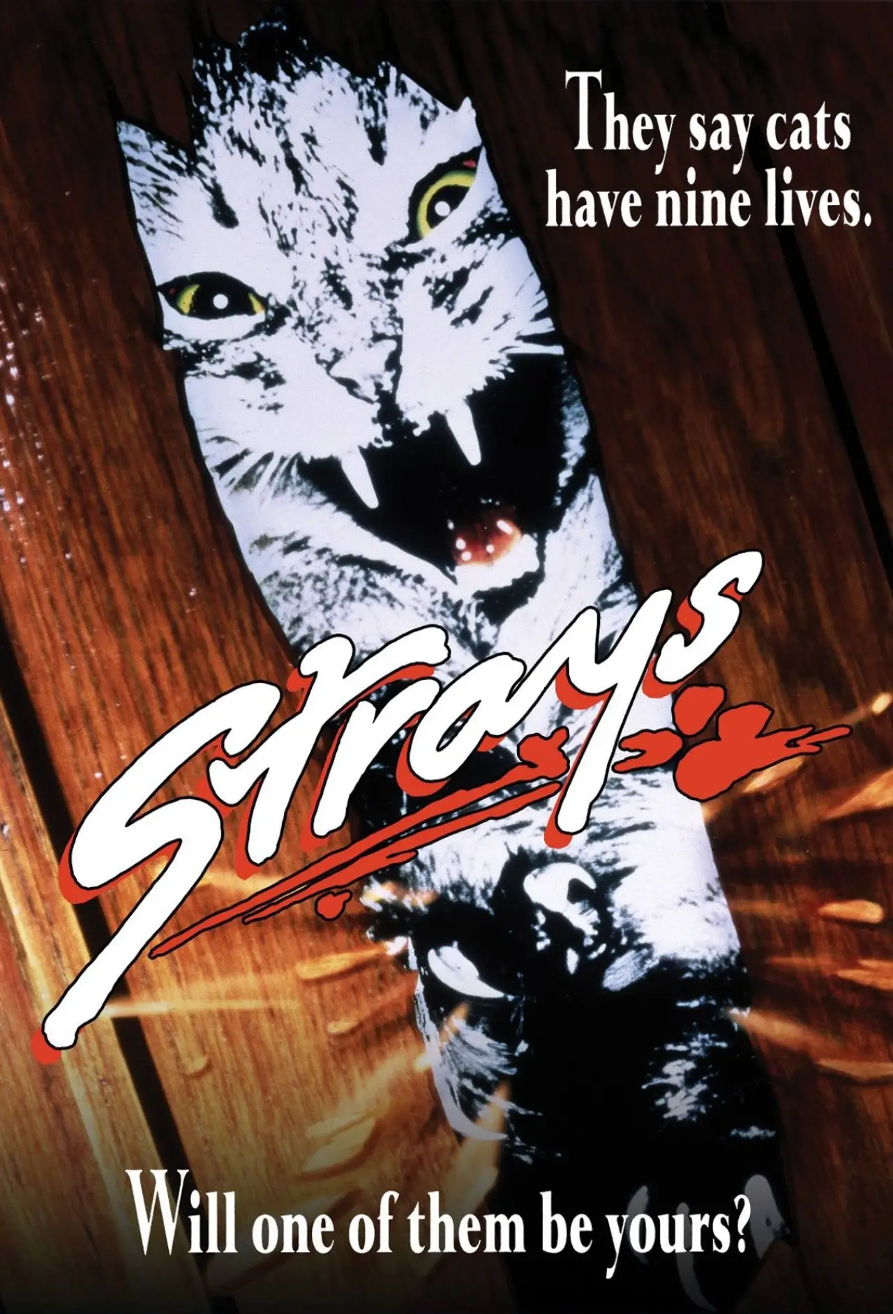 Movie poster "Strays"