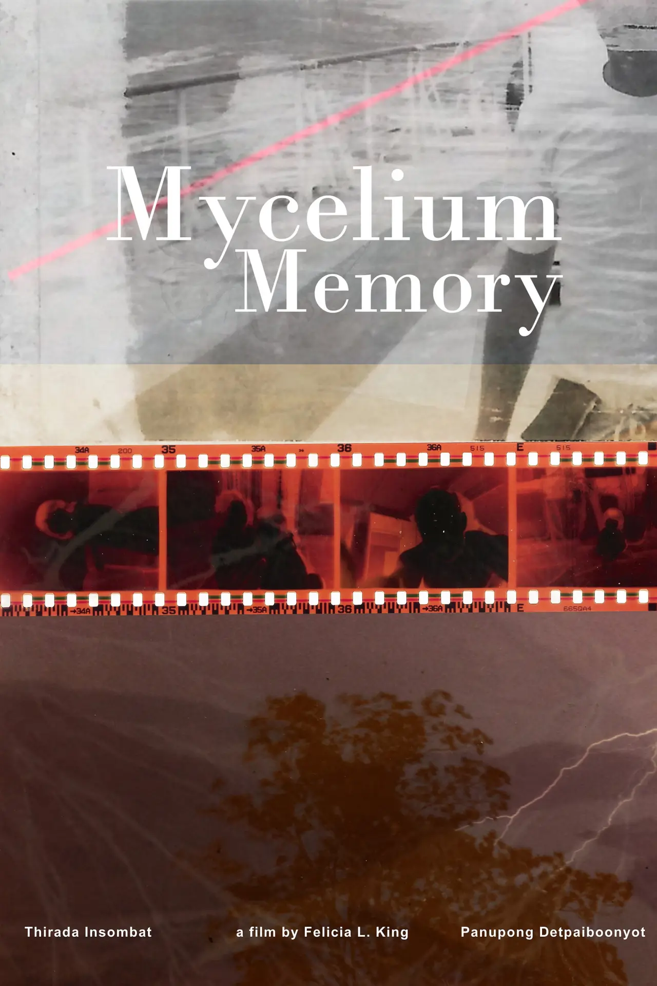Movie poster "Mycelium Memory"