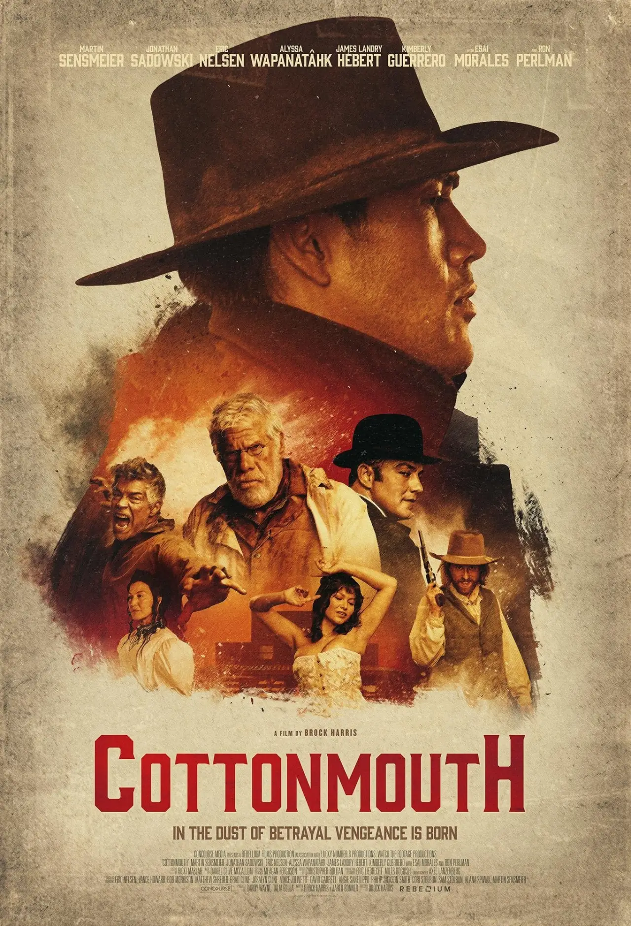 Movie poster "Cottonmouth"