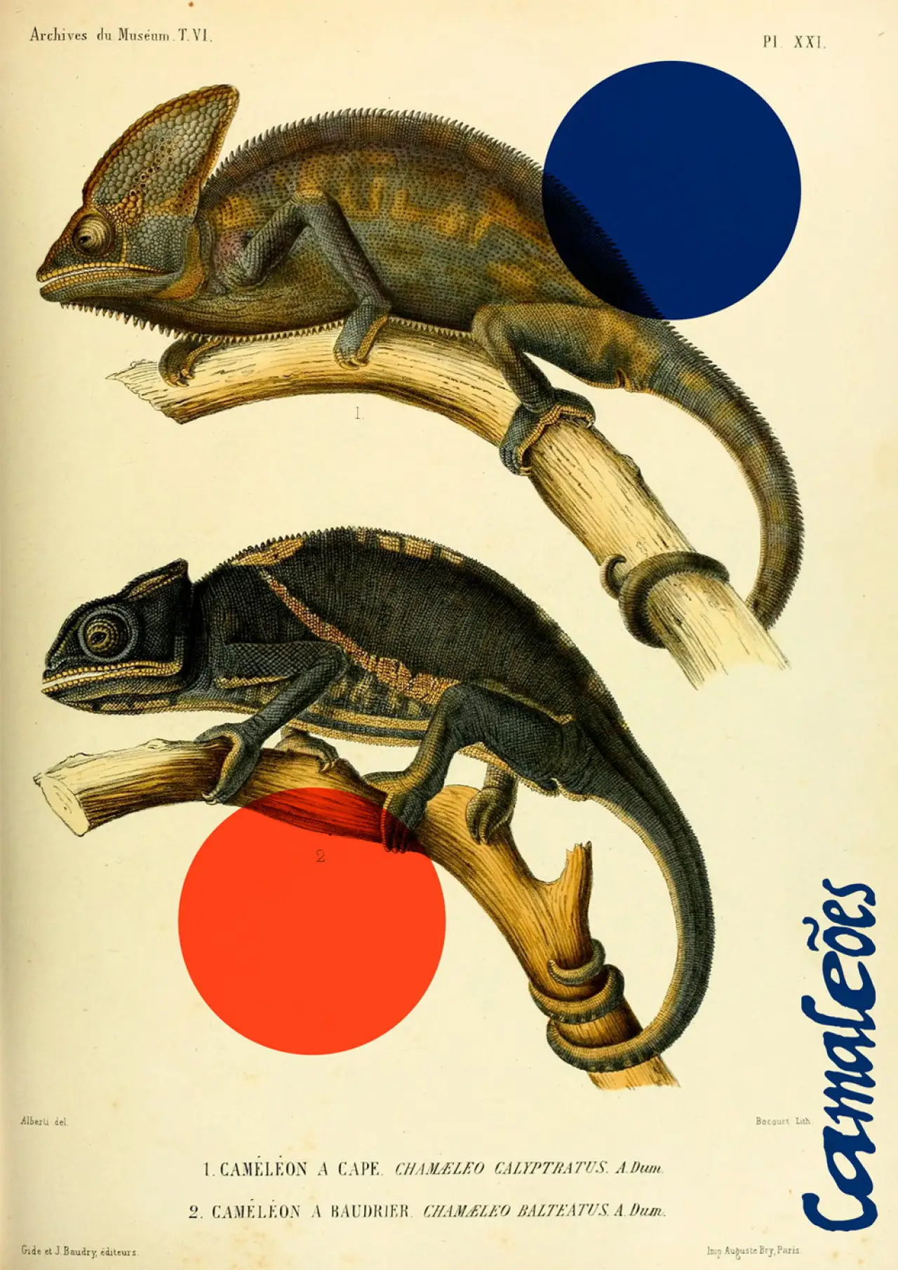 Movie poster "Chameleons"
