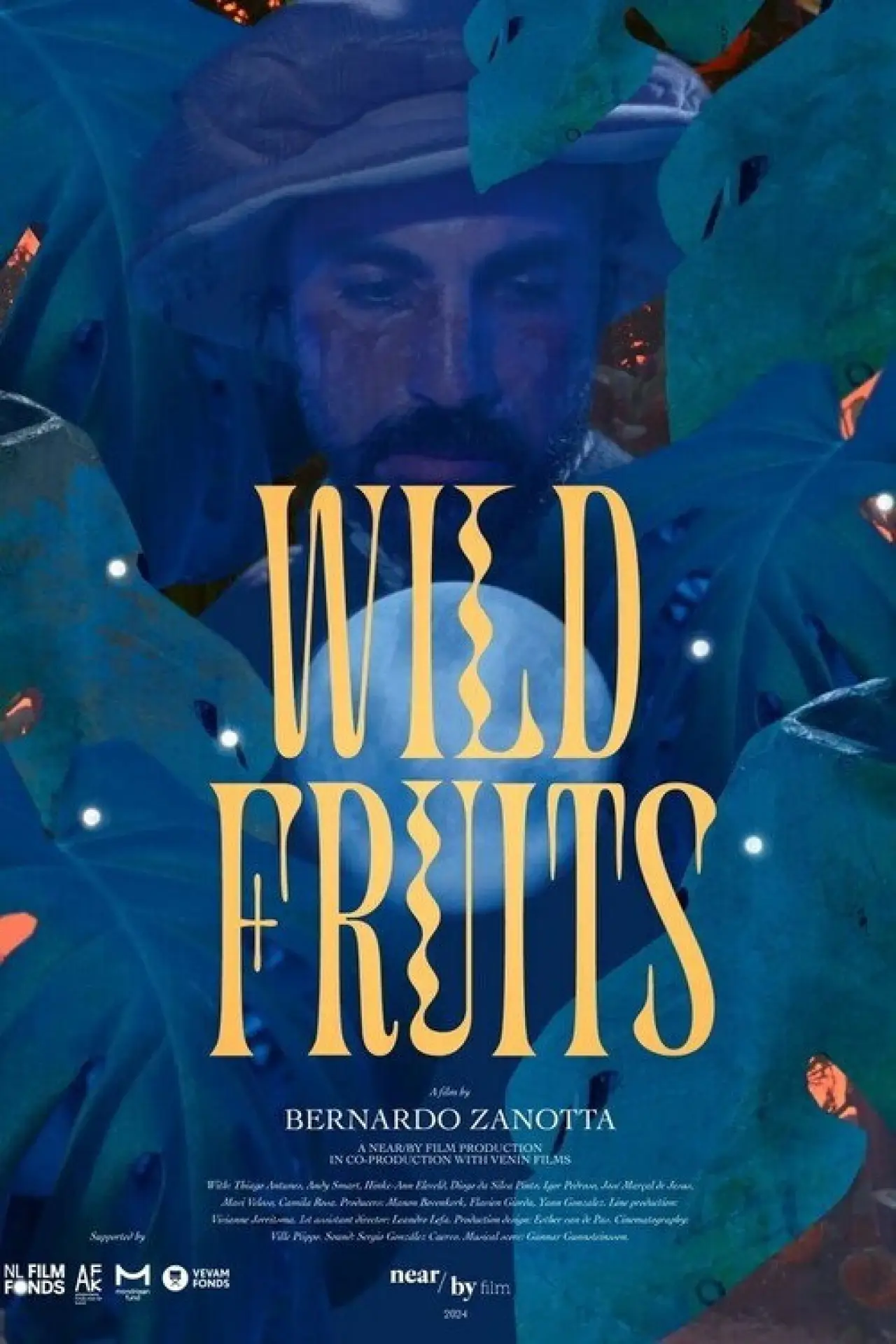 Movie poster "Wild Fruits"