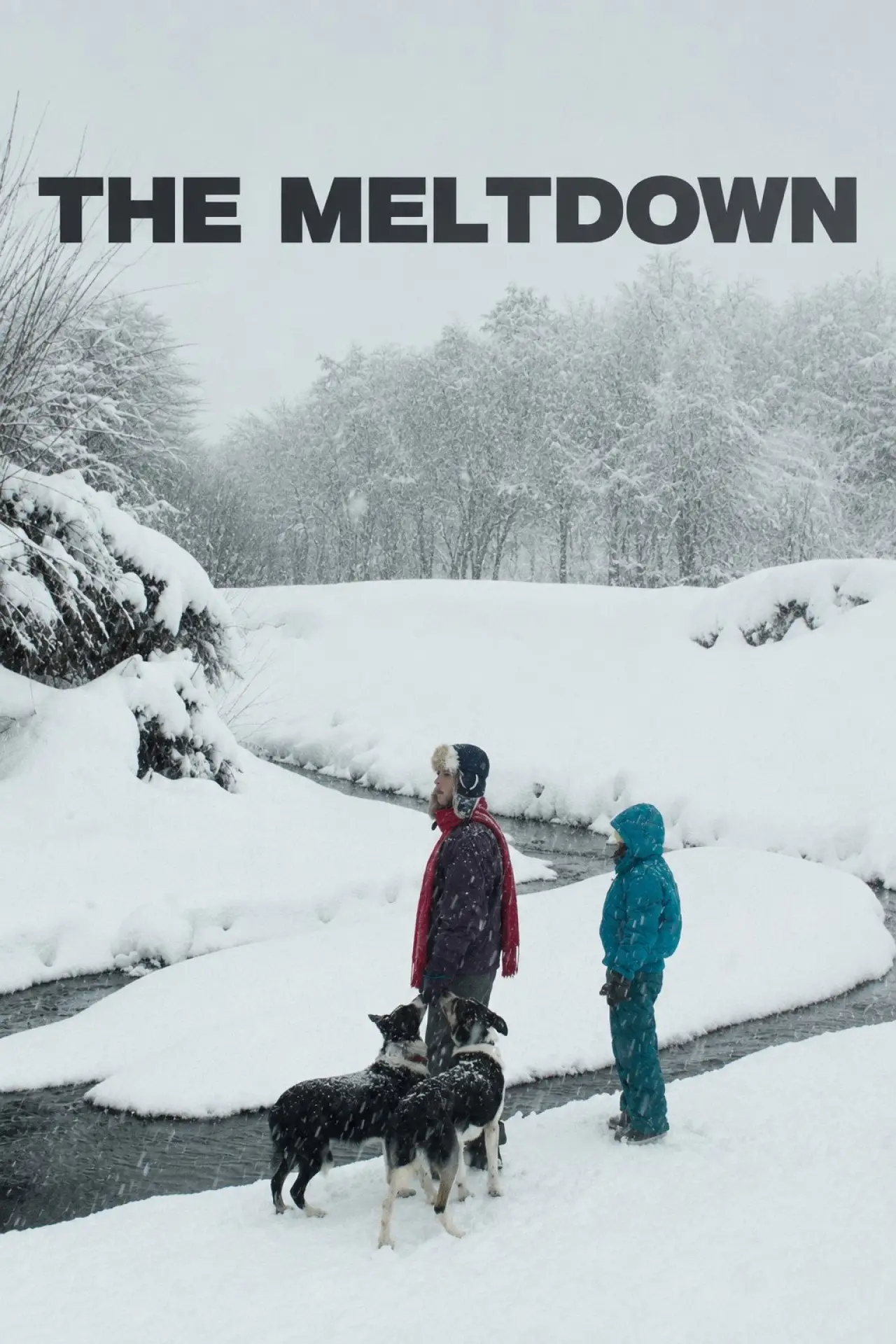 Movie poster "The Meltdown"