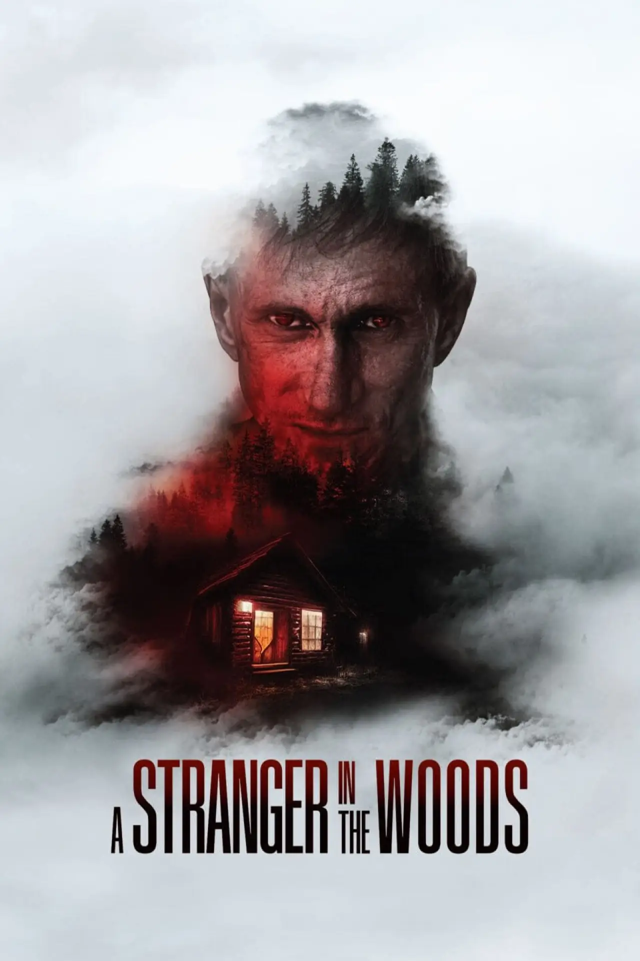 Movie poster "A Stranger in the Woods"