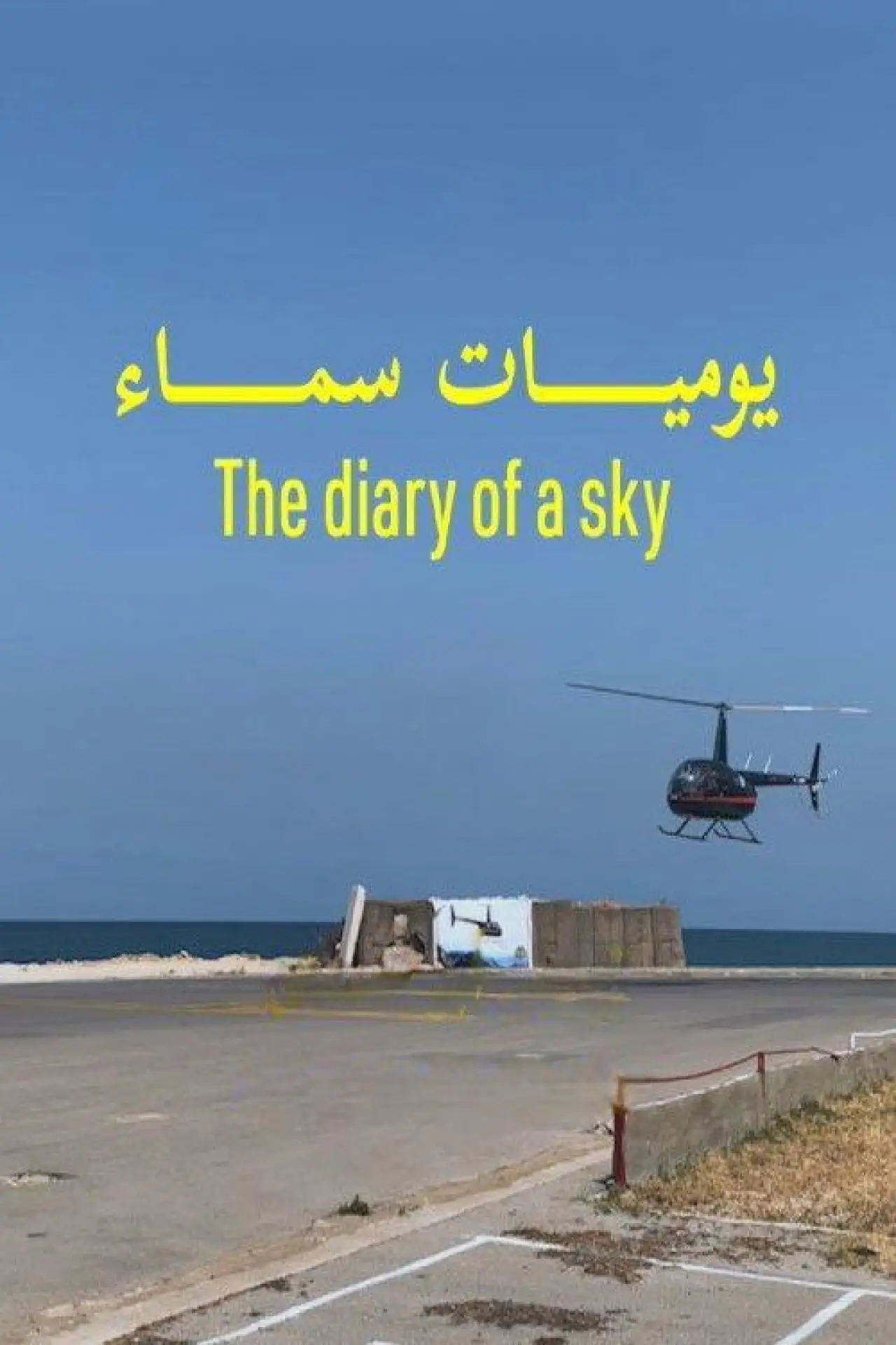 Movie poster "The Diary of a Sky"