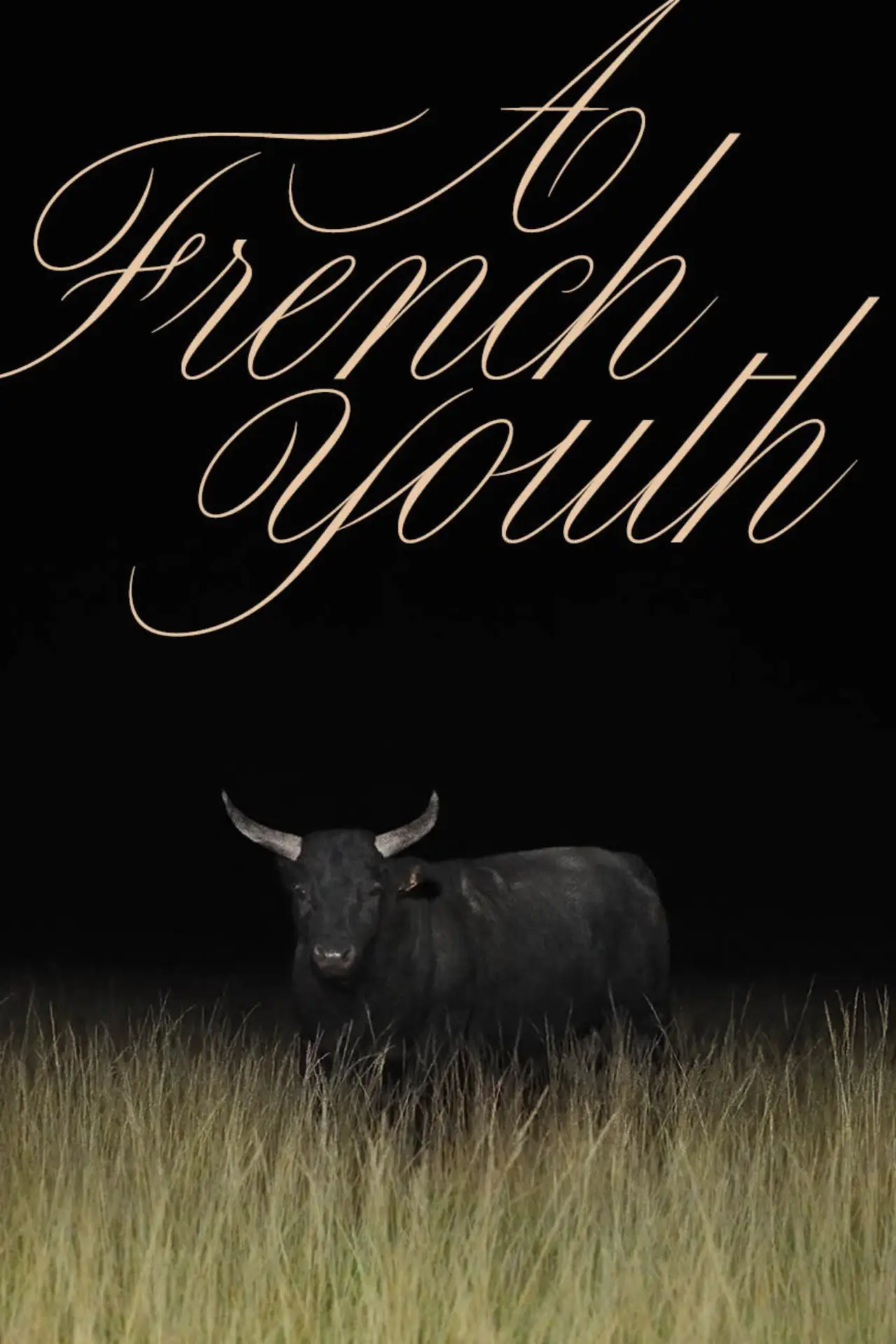 Movie poster "A French Youth"