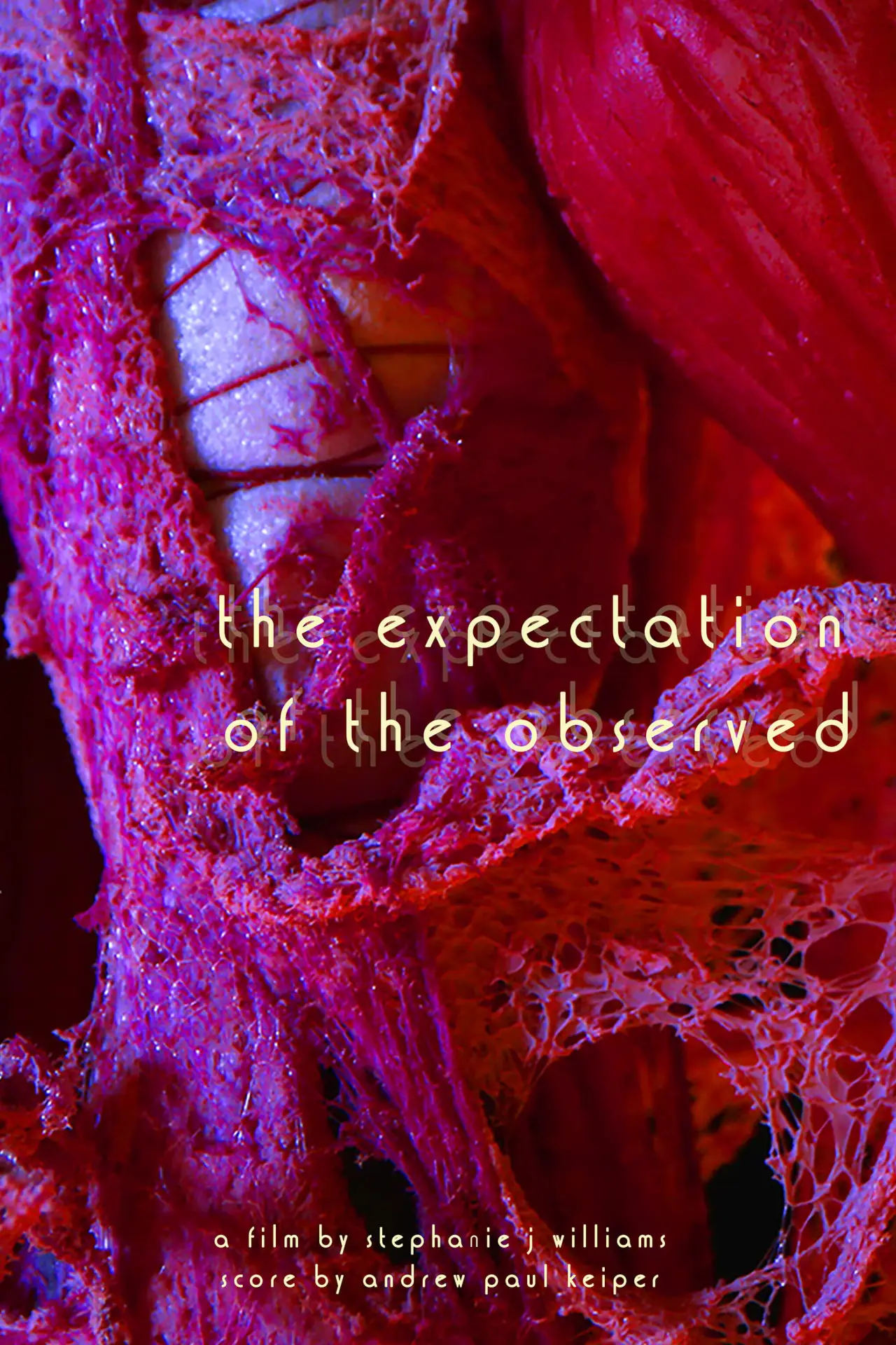 Movie poster "The Expectation of the Observed"