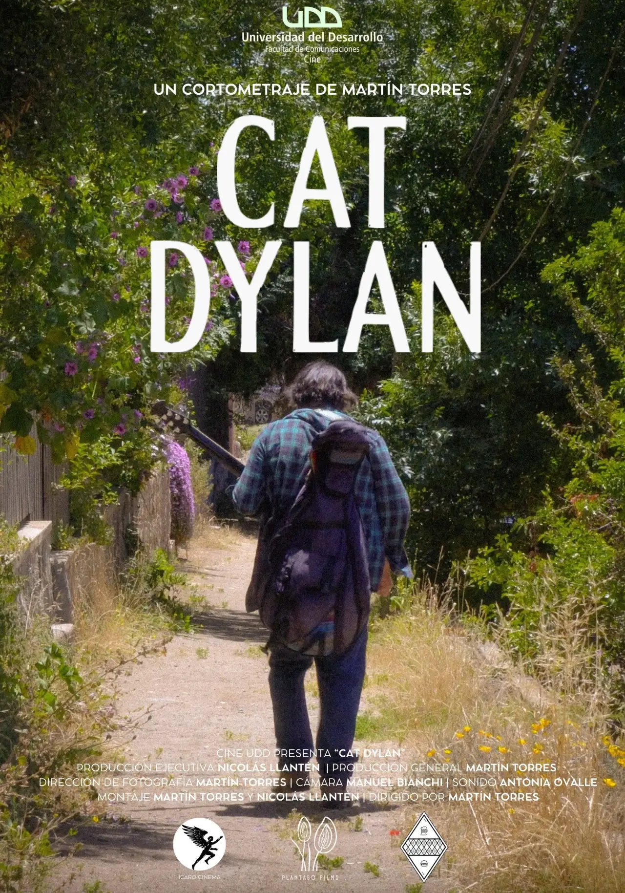 Movie poster "Cat Dylan"