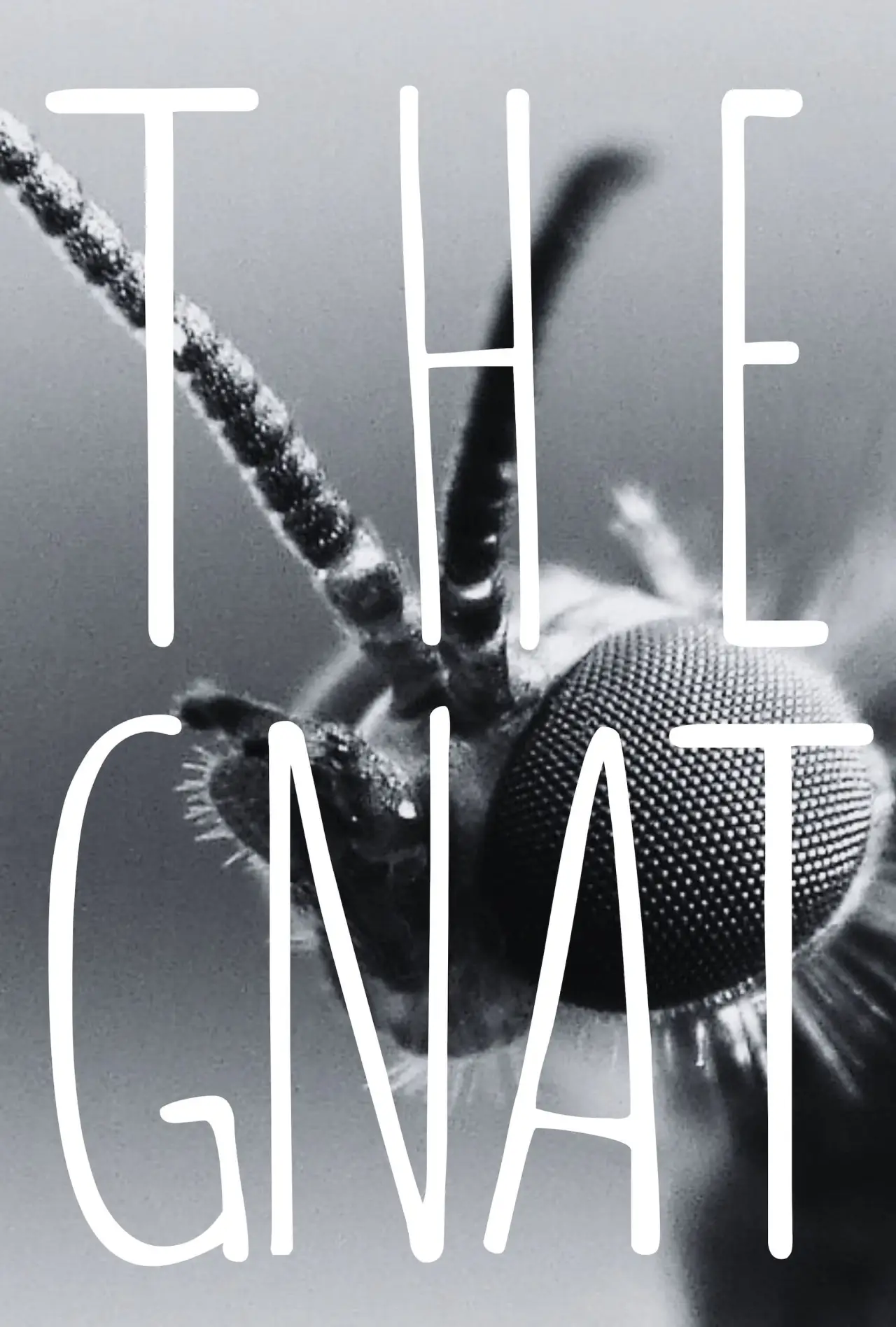 Movie poster "The Gnat"