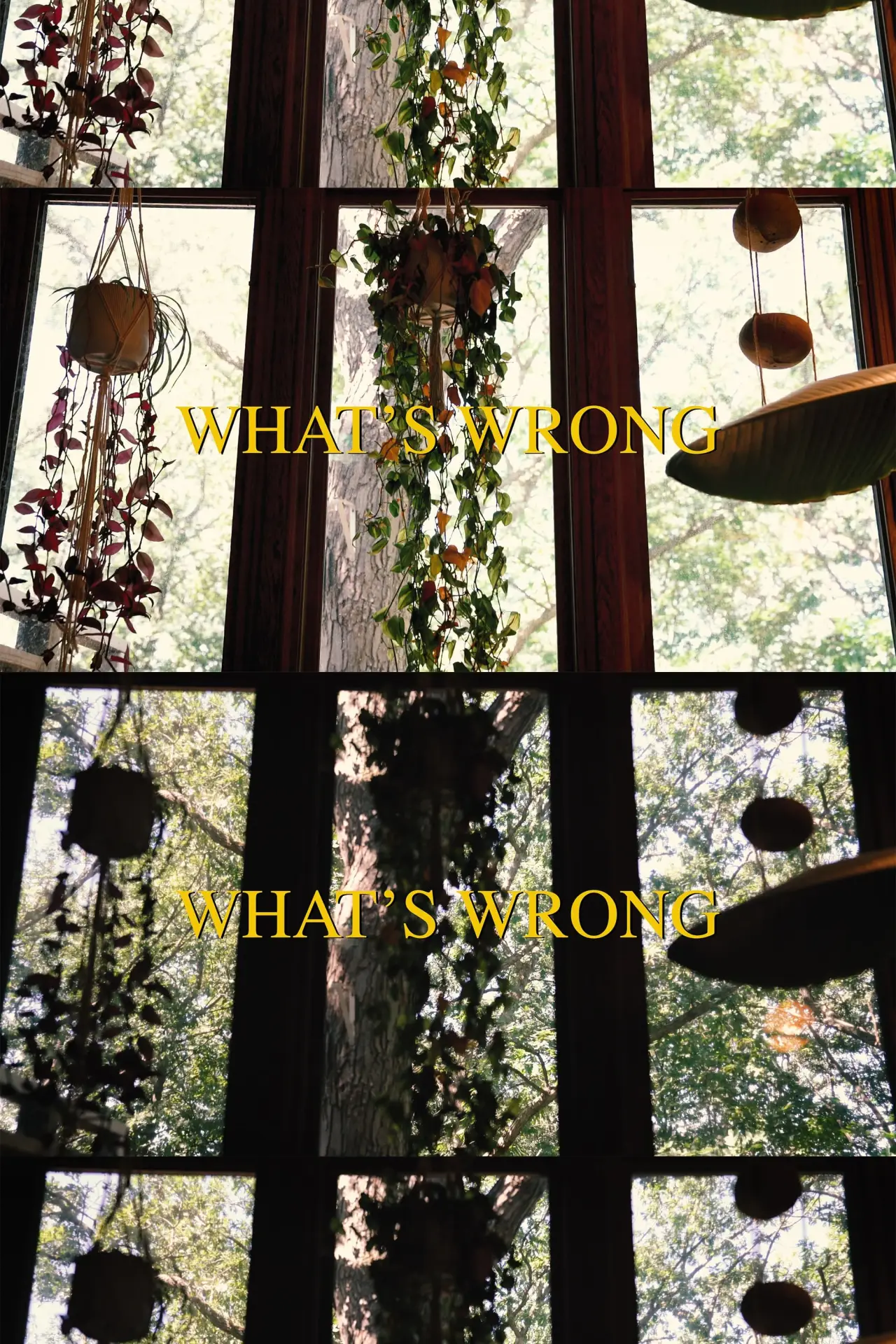 Movie poster "What