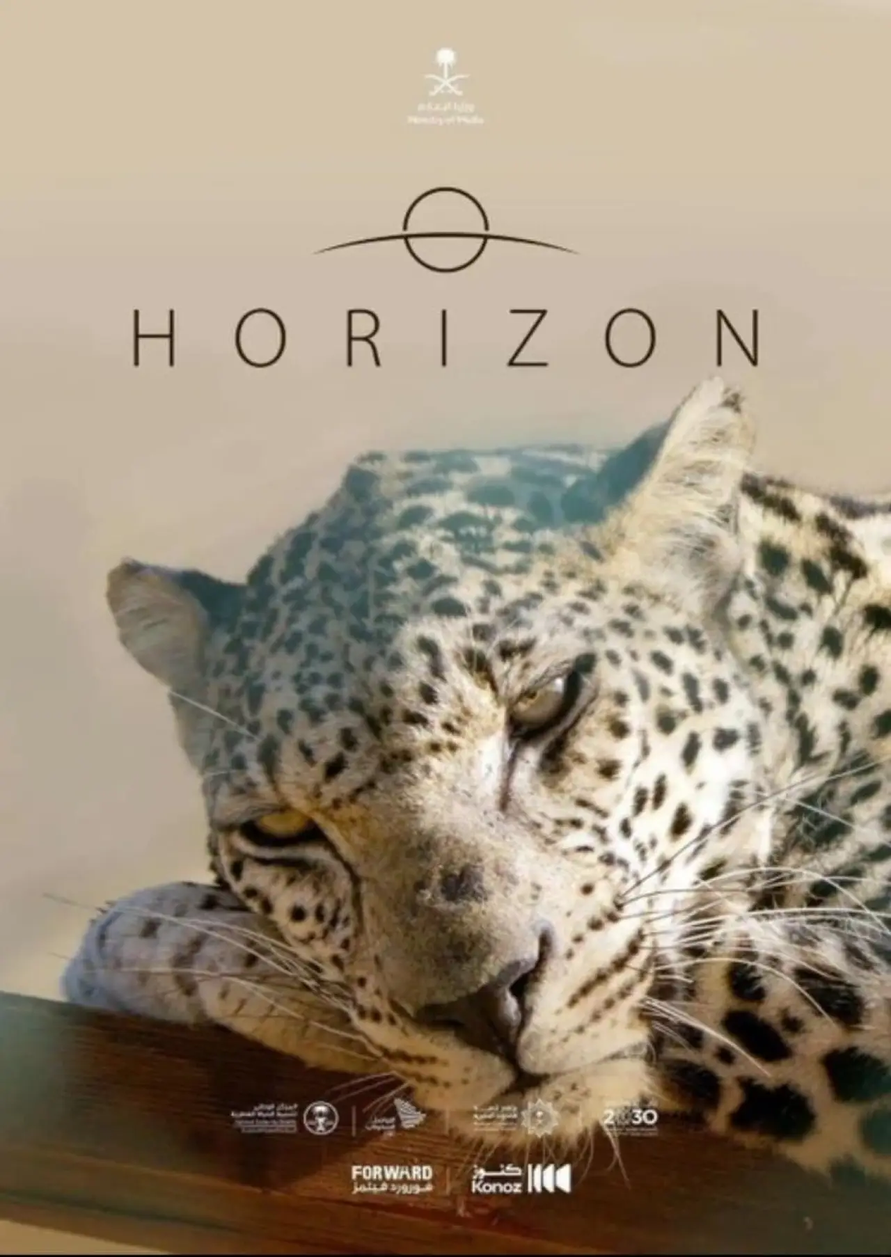 Movie poster "Horizon"