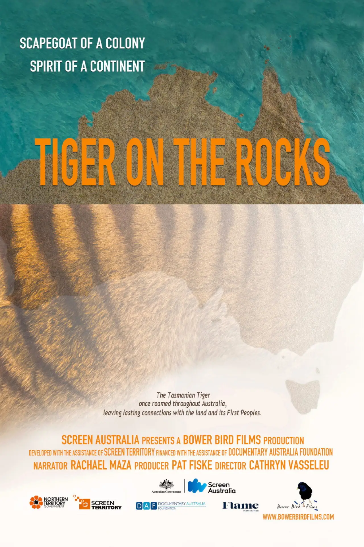Movie poster "Tiger on the Rocks"