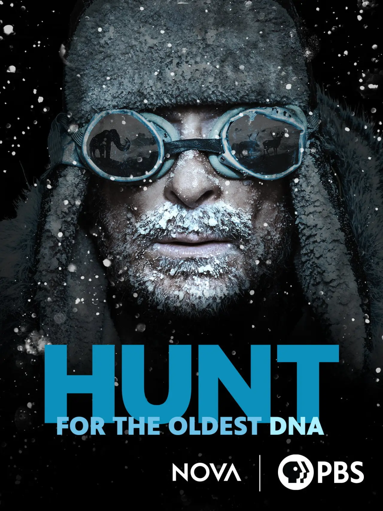 Movie poster "Hunt for the Oldest DNA"
