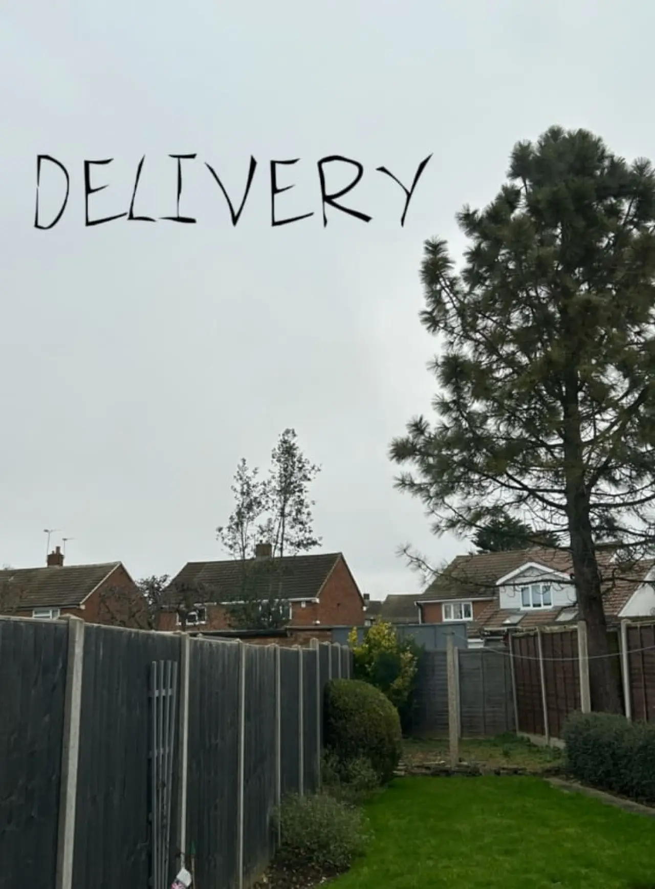 Movie poster "Delivery"