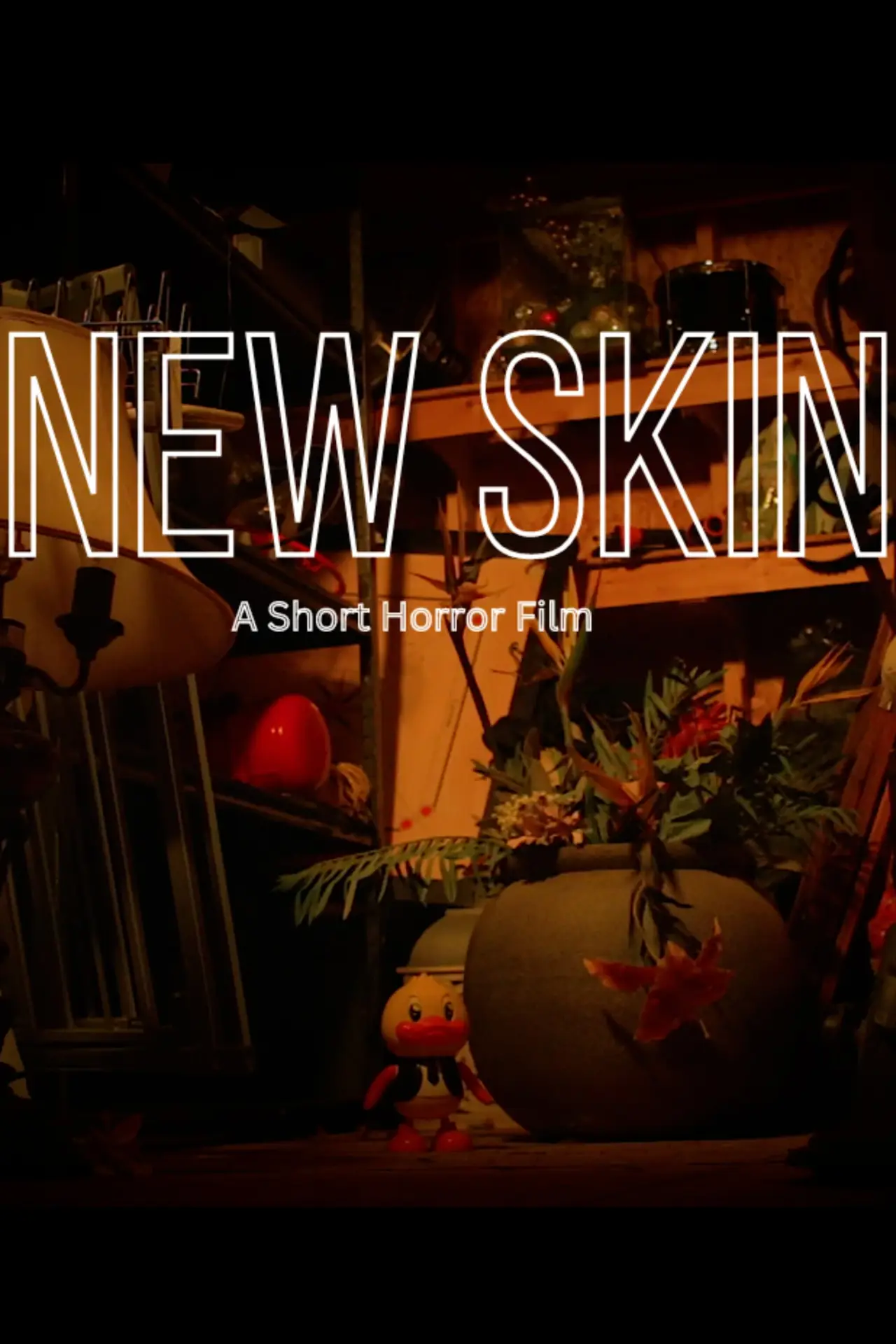 Movie poster "New Skin"
