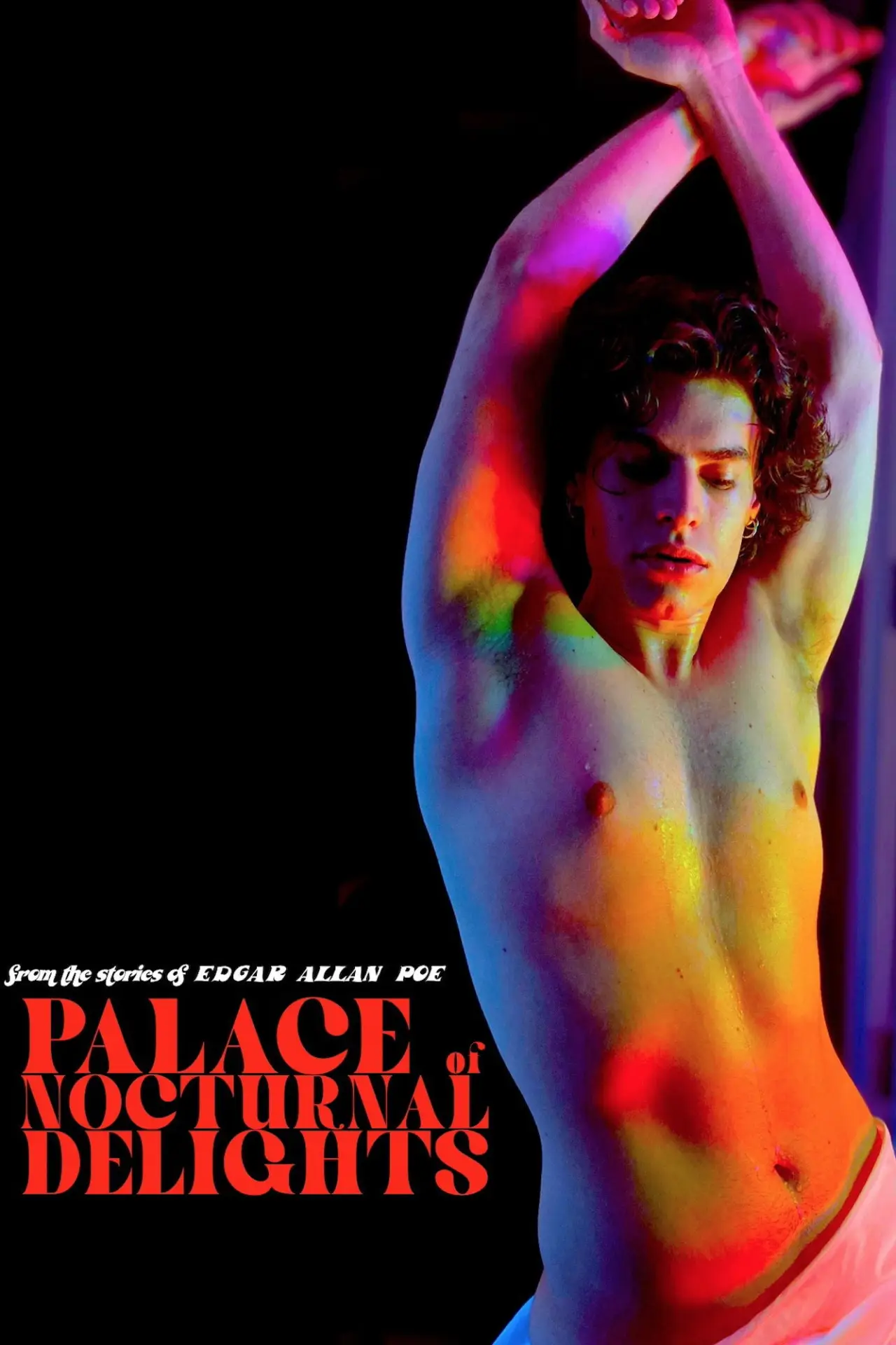 Movie poster "Palace of Nocturnal Delights"