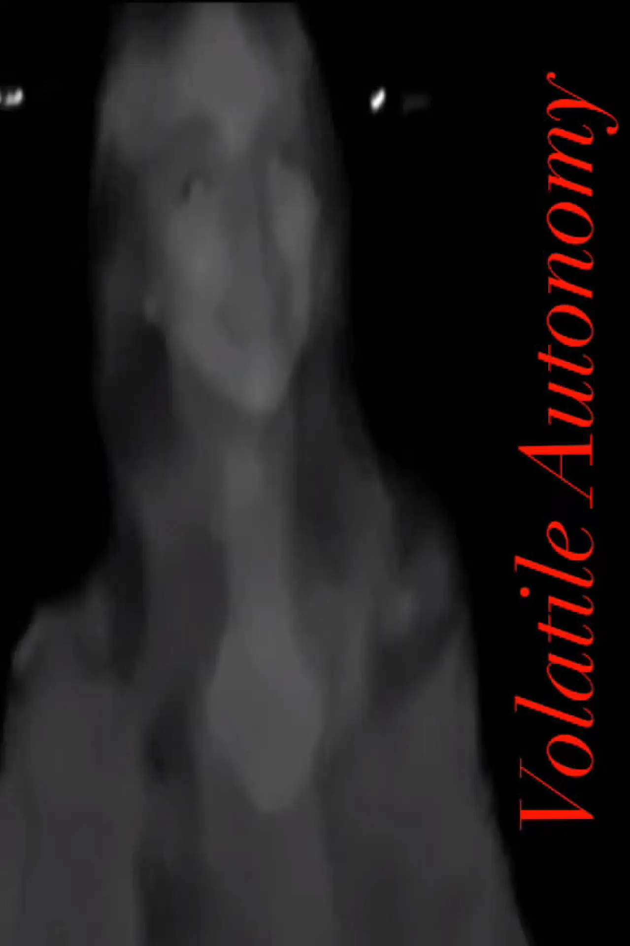 Movie poster "Volatile Autonomy"