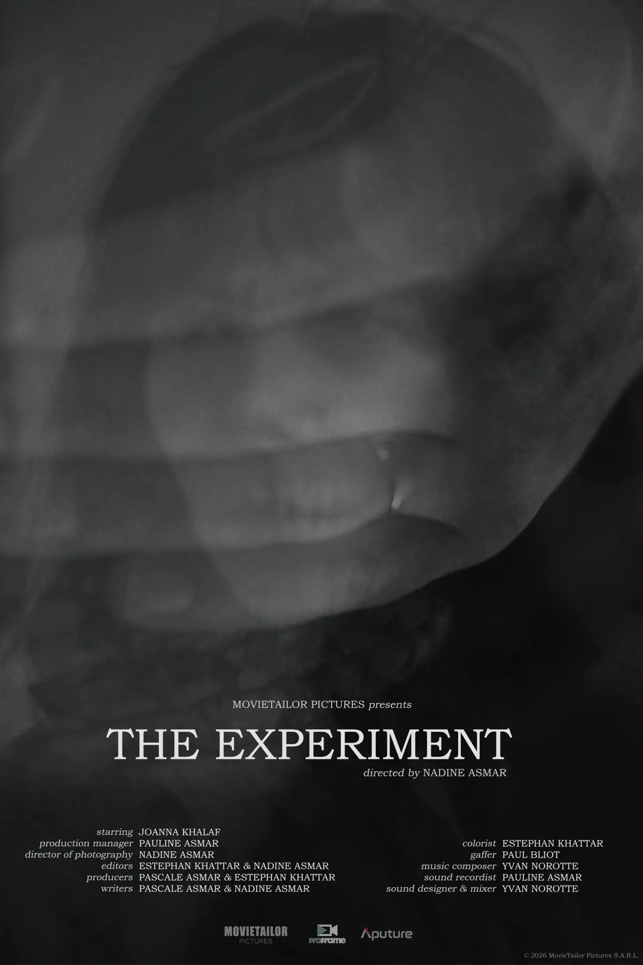 Movie poster "The Experiment"