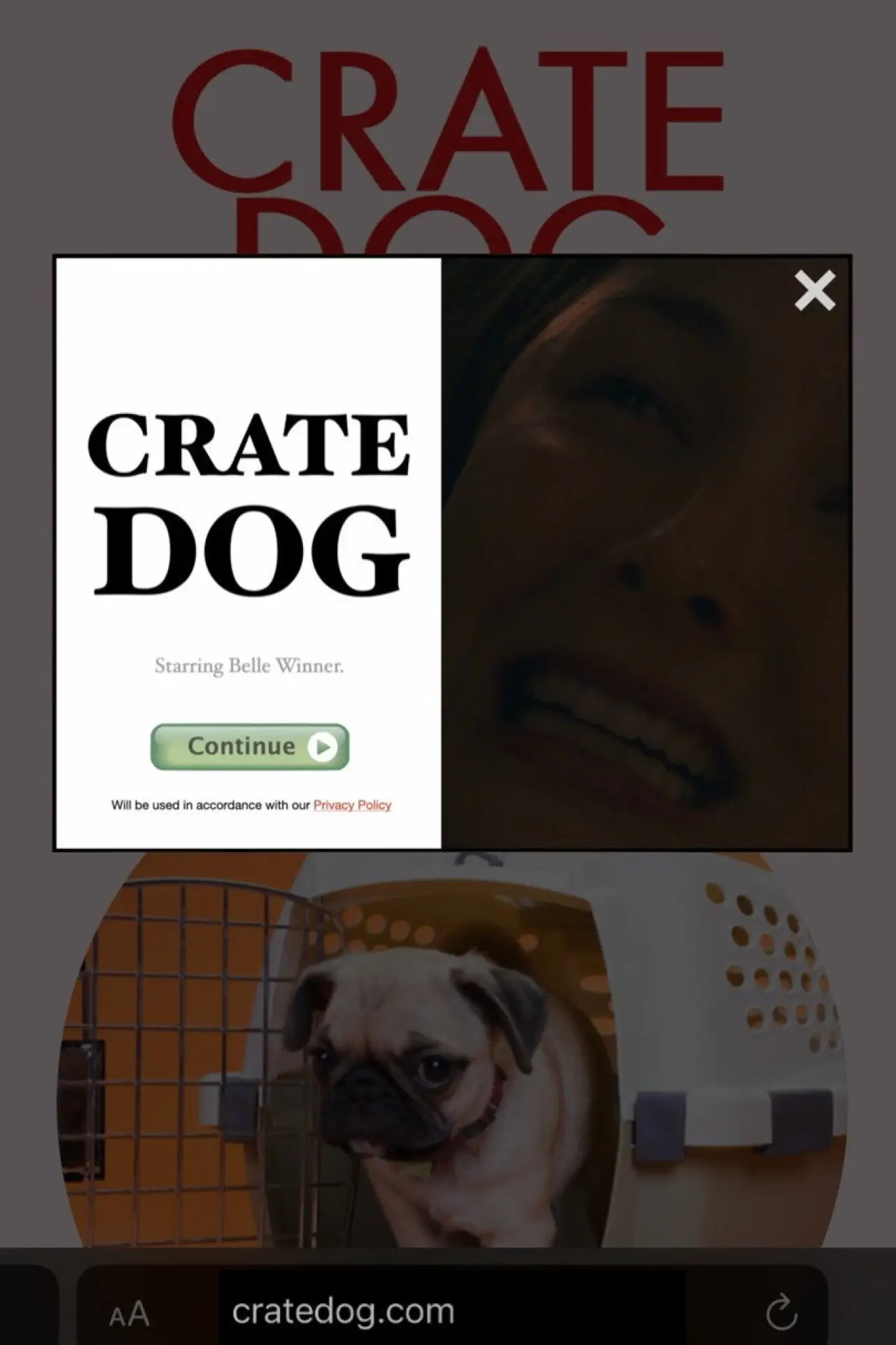 Movie poster "Crate Dog"
